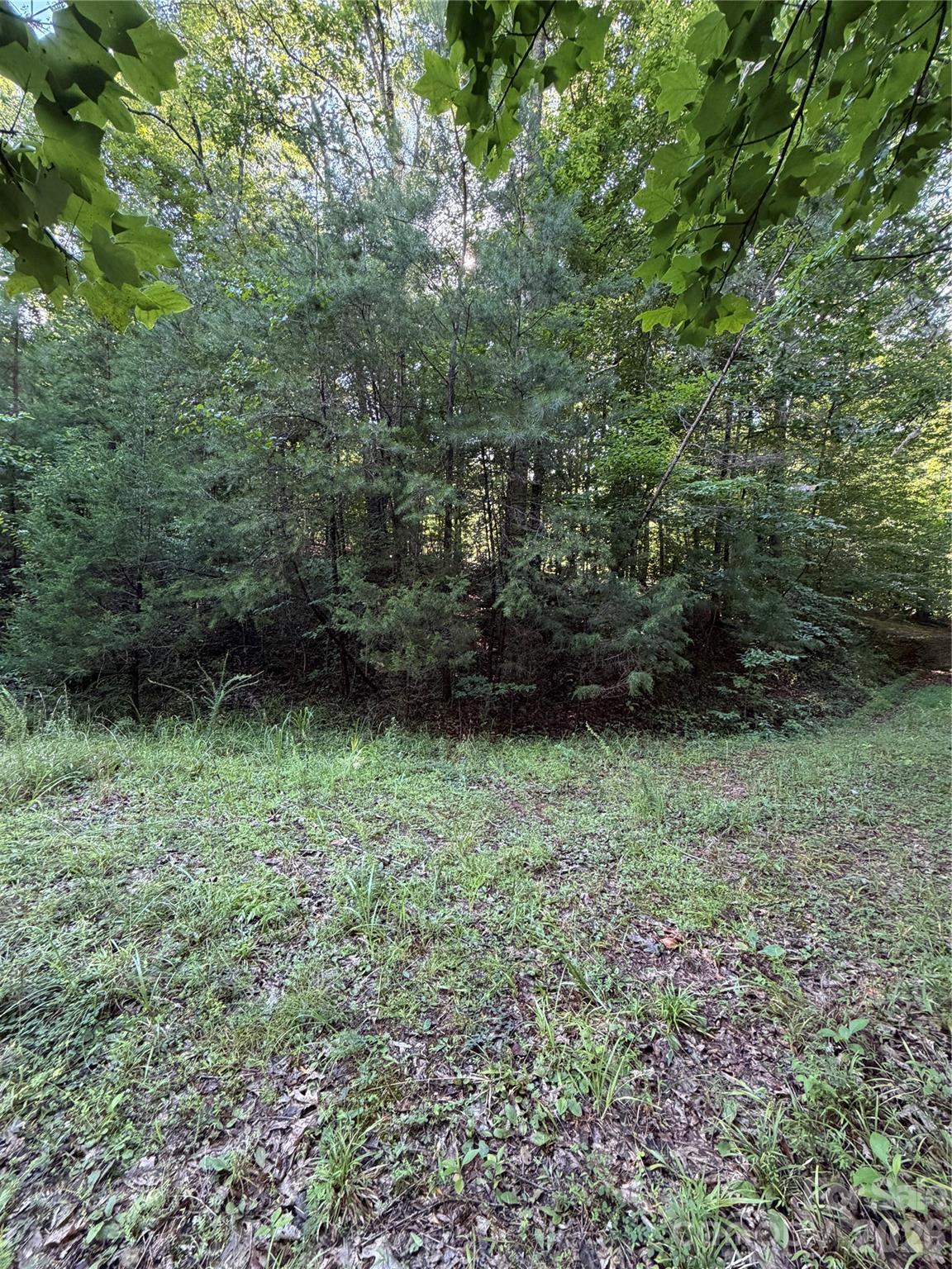 0 Greenhill Farms Drive 15 Property Photo 6