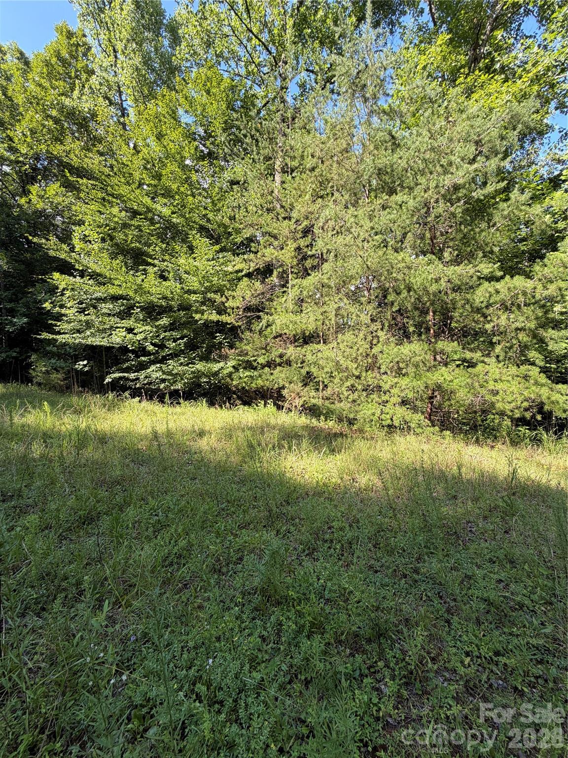 0 Greenhill Farms Drive 15 Property Photo 10