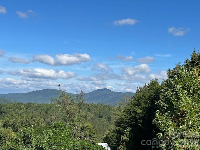 0 Tahawus Drive Property Photo 1