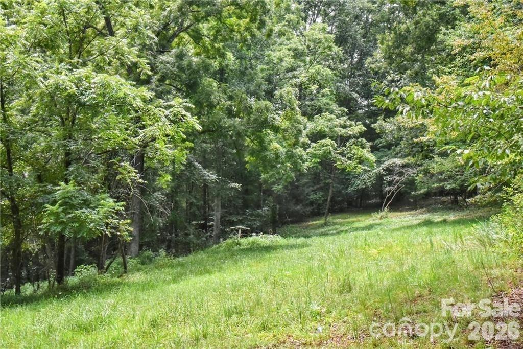 19 Laurel Loop Road Property Photo 1
