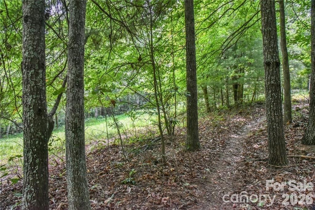 19 Laurel Loop Road Property Photo 3