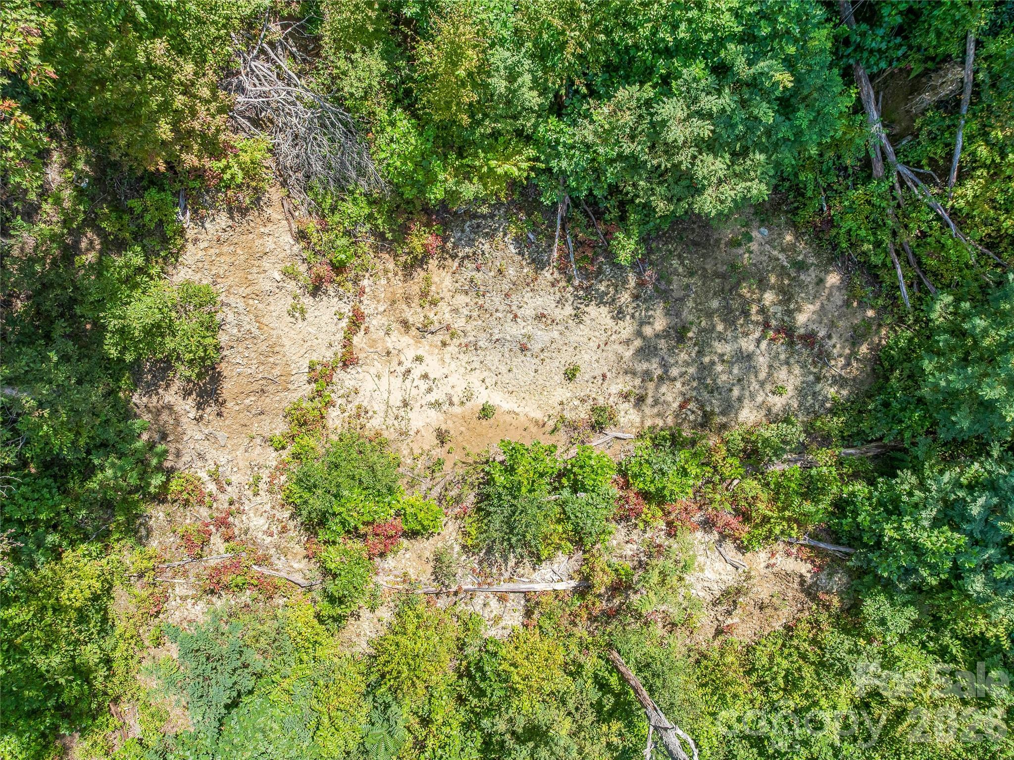 632 Justus Case Mountain Place Property Photo 2