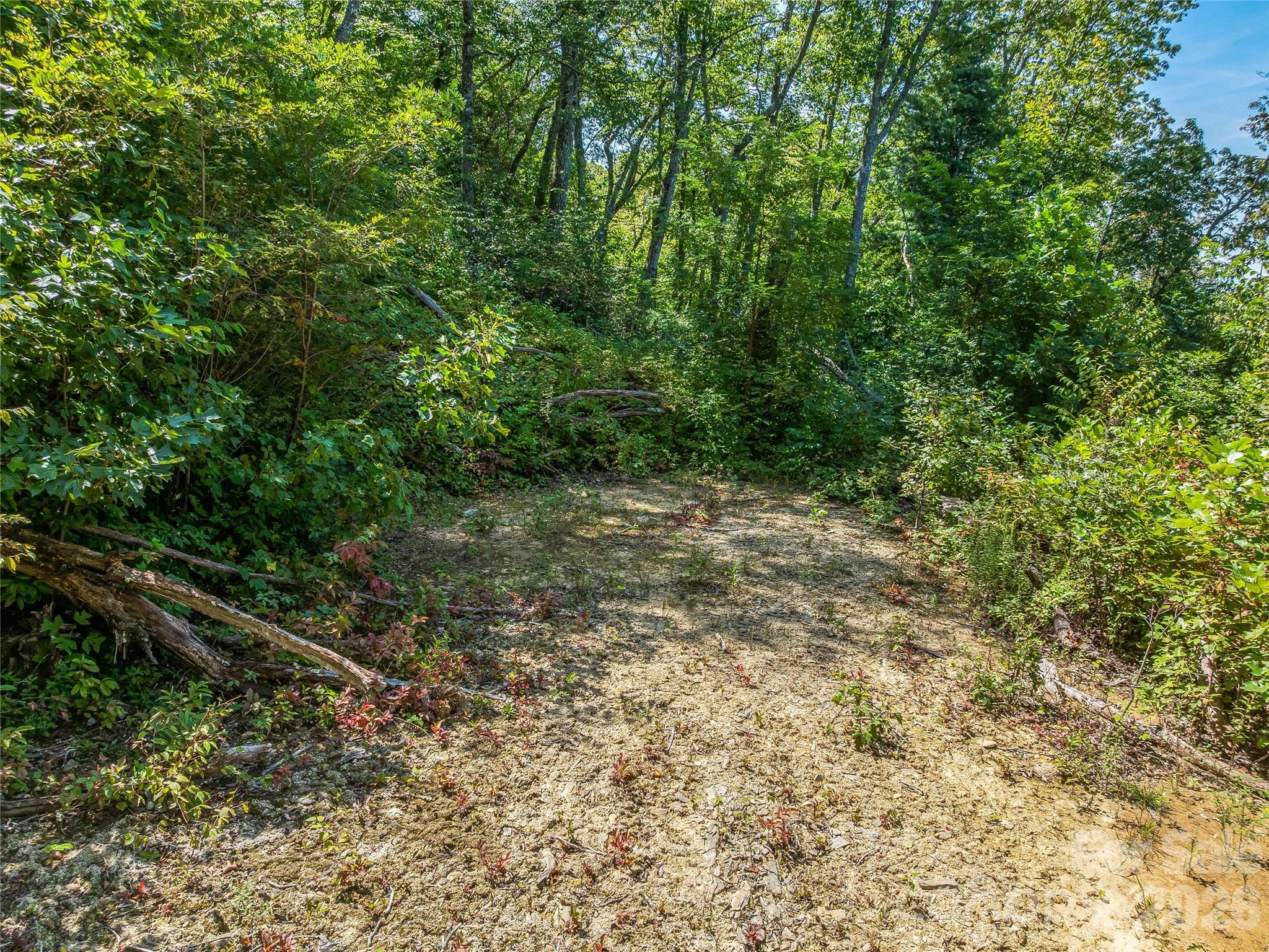 632 Justus Case Mountain Place Property Photo 3