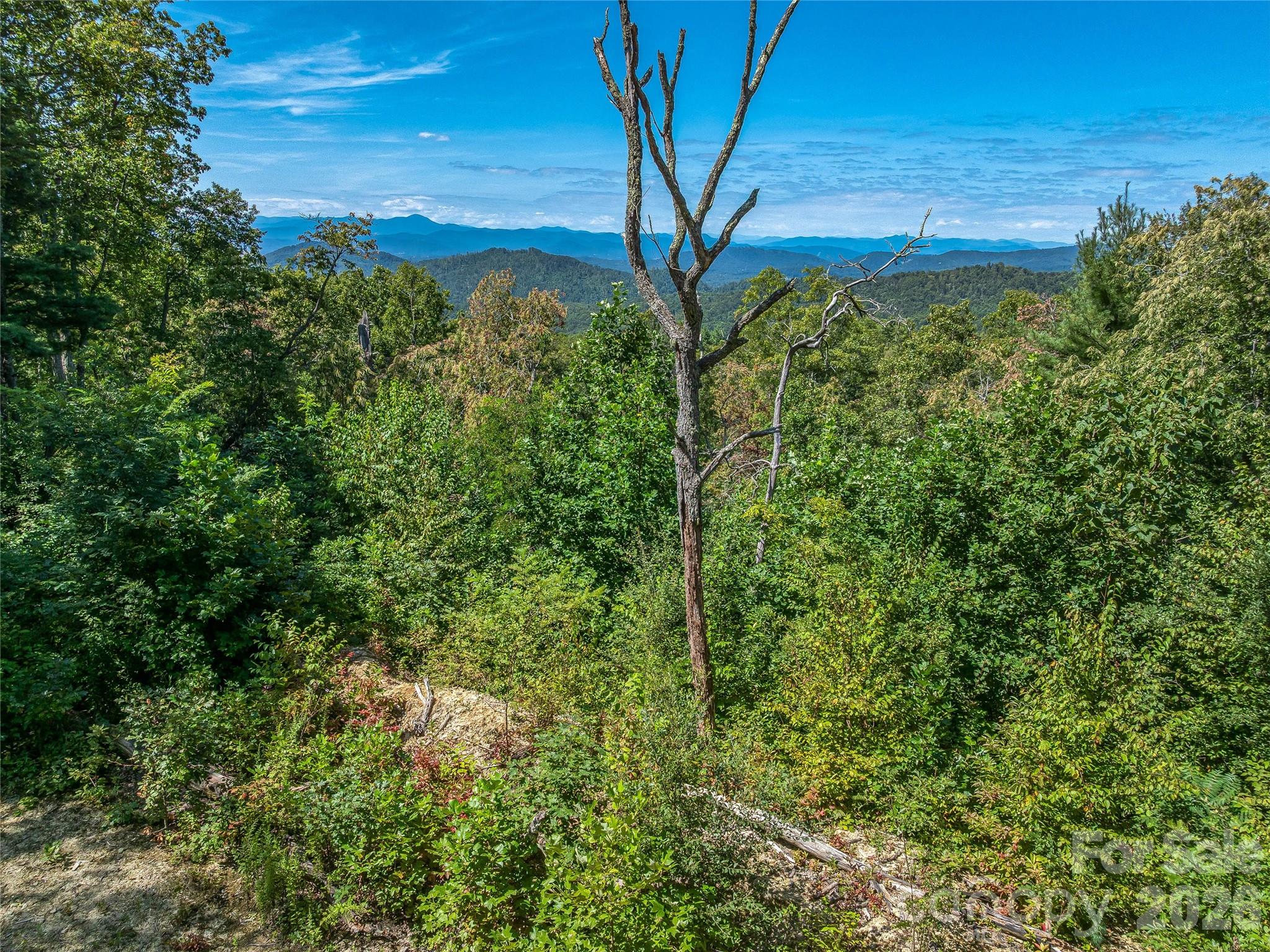 632 Justus Case Mountain Place Property Photo 4