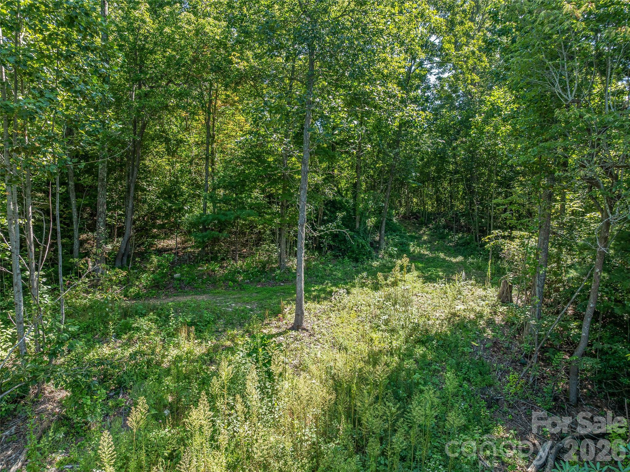 632 Justus Case Mountain Place Property Photo 5