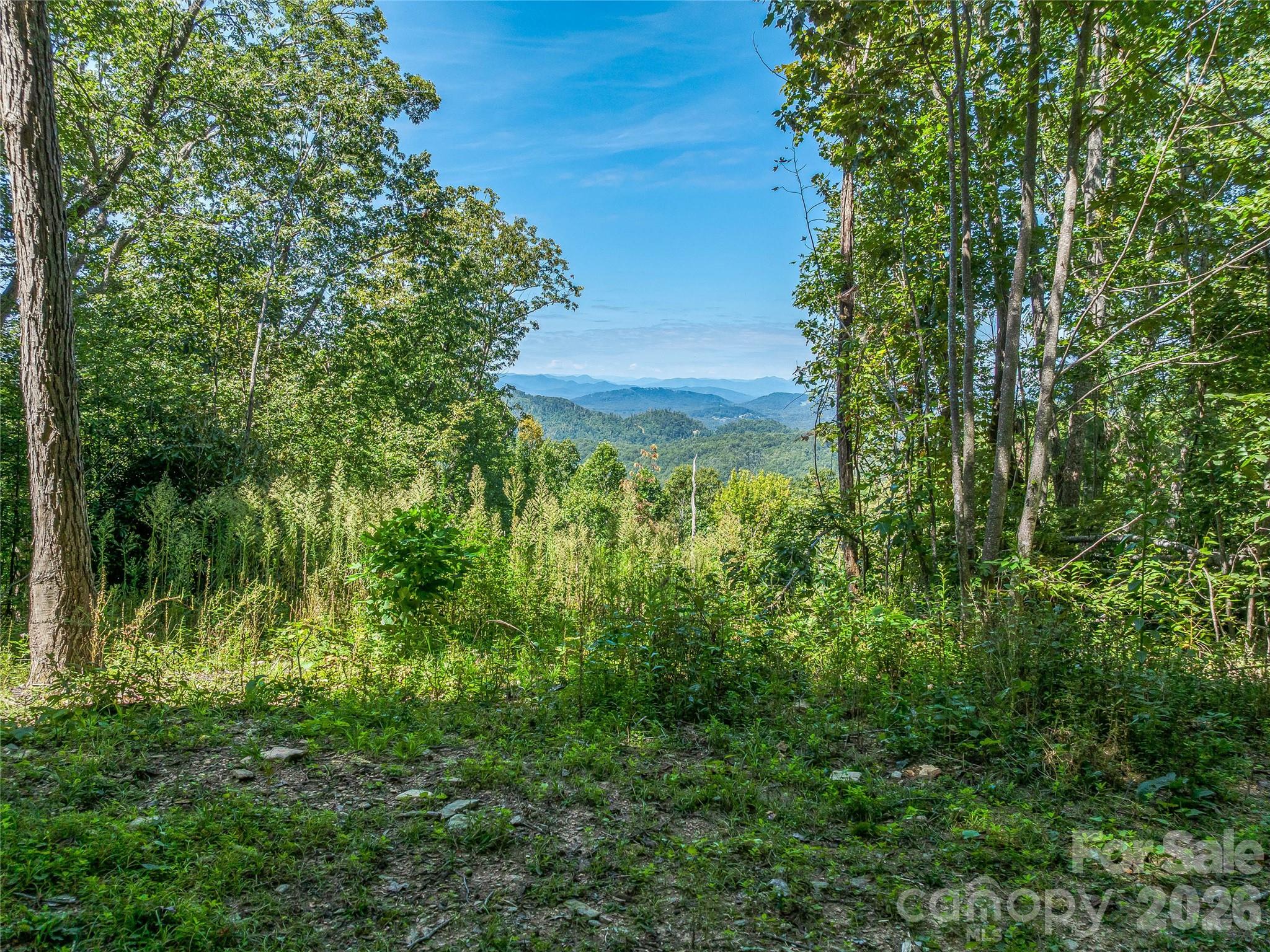 632 Justus Case Mountain Place Property Photo 6
