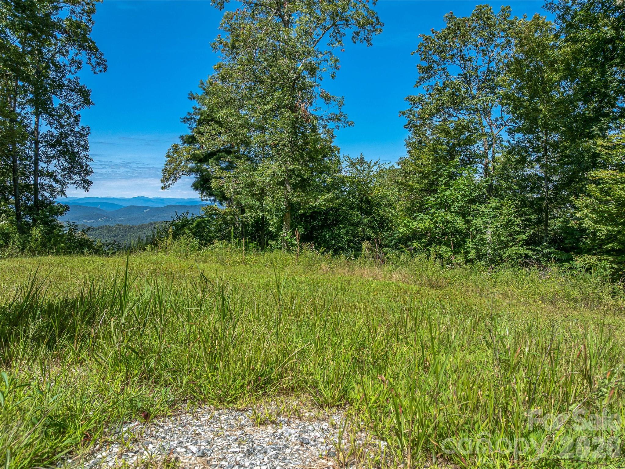 632 Justus Case Mountain Place Property Photo 12