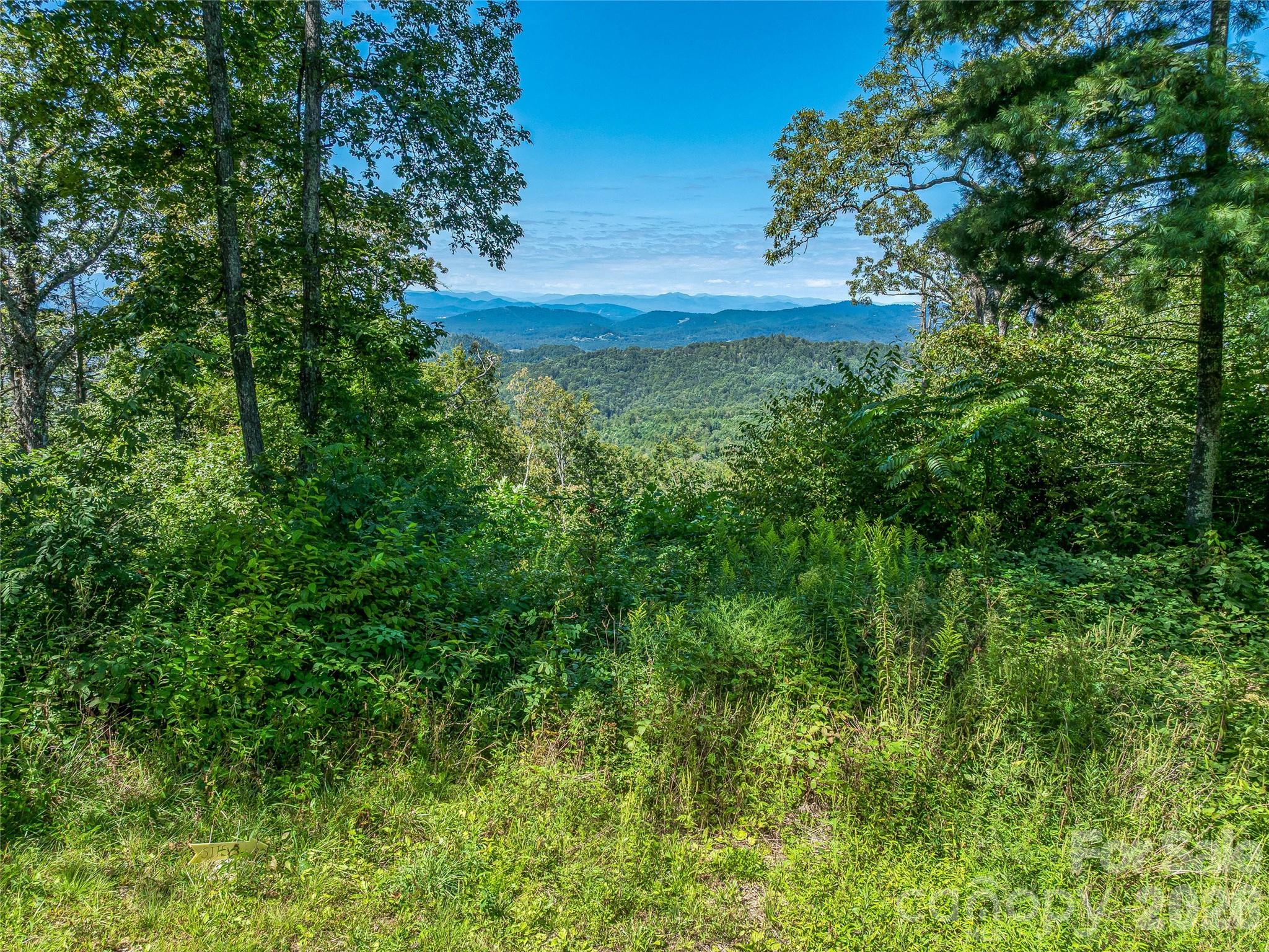 632 Justus Case Mountain Place Property Photo 13