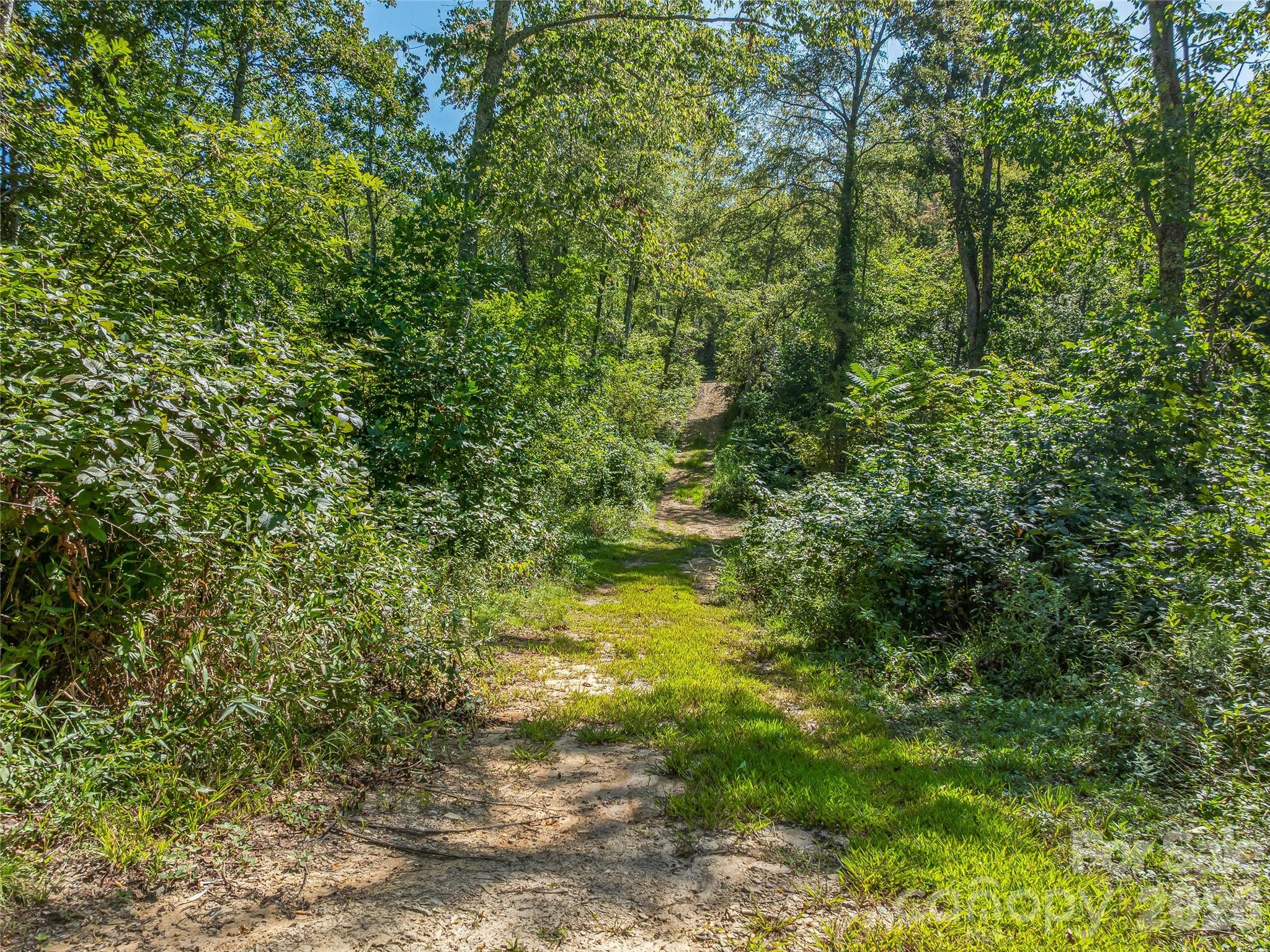 632 Justus Case Mountain Place Property Photo 16