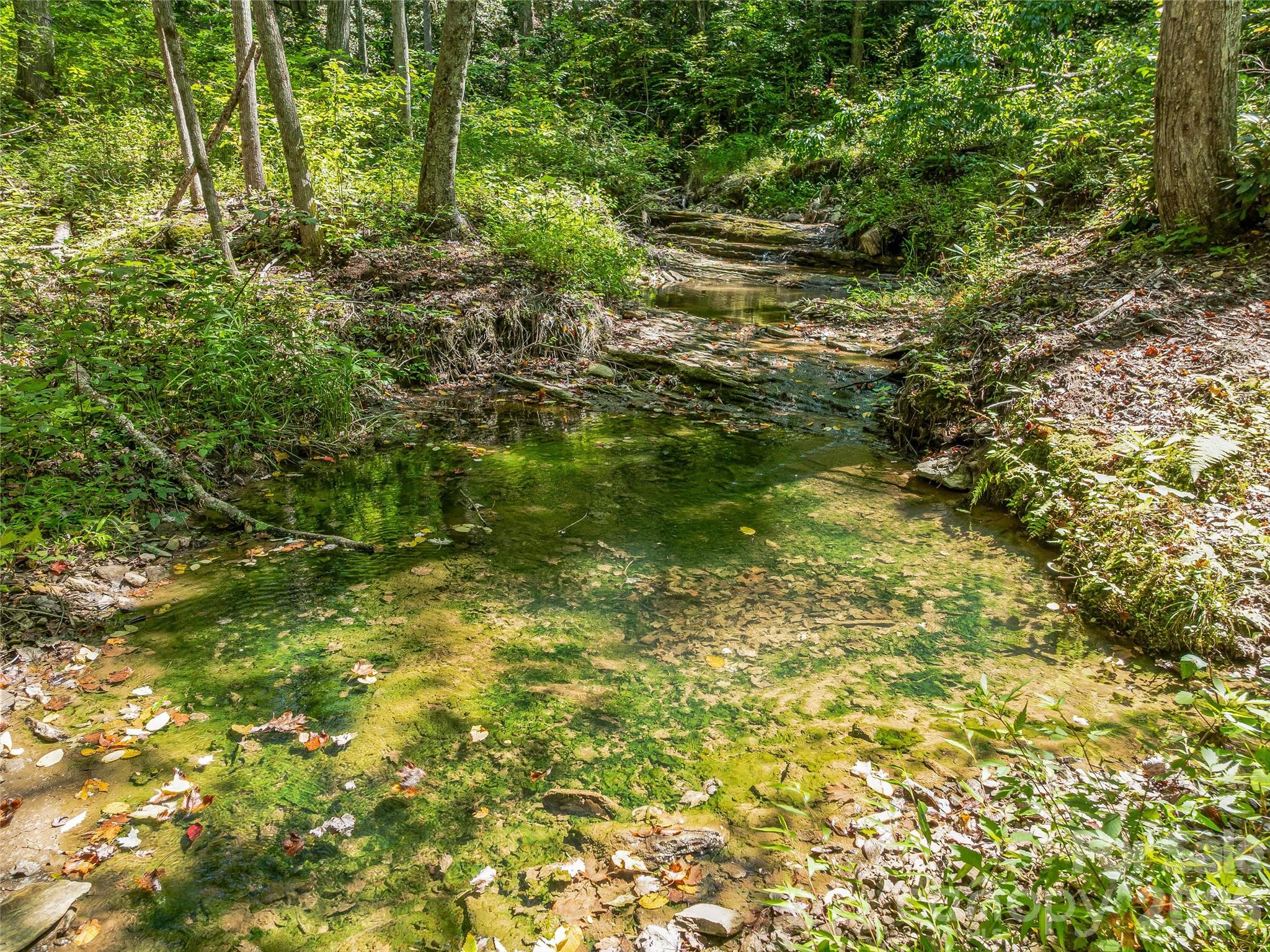 632 Justus Case Mountain Place Property Photo 18