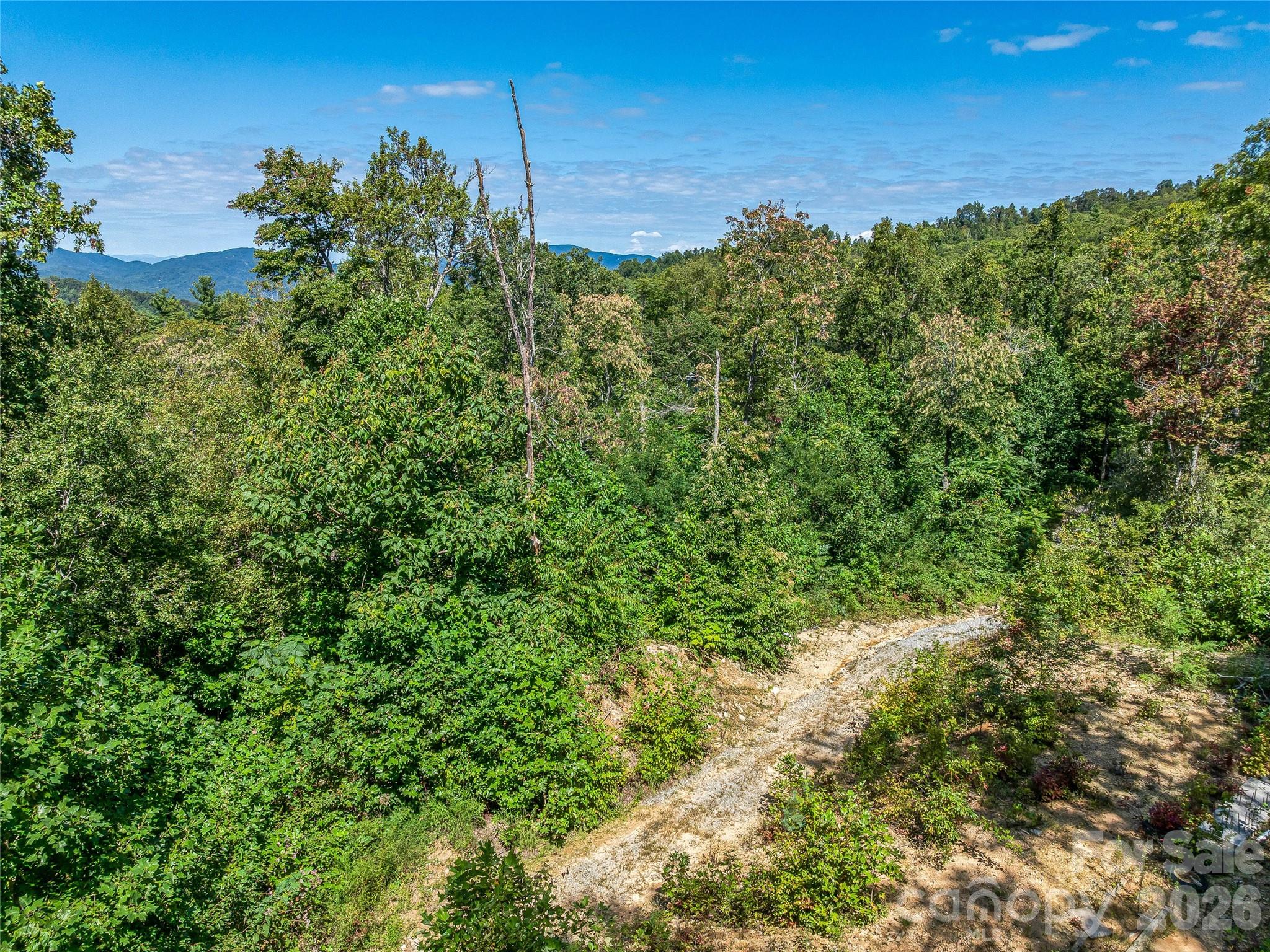 632 Justus Case Mountain Place Property Photo 21