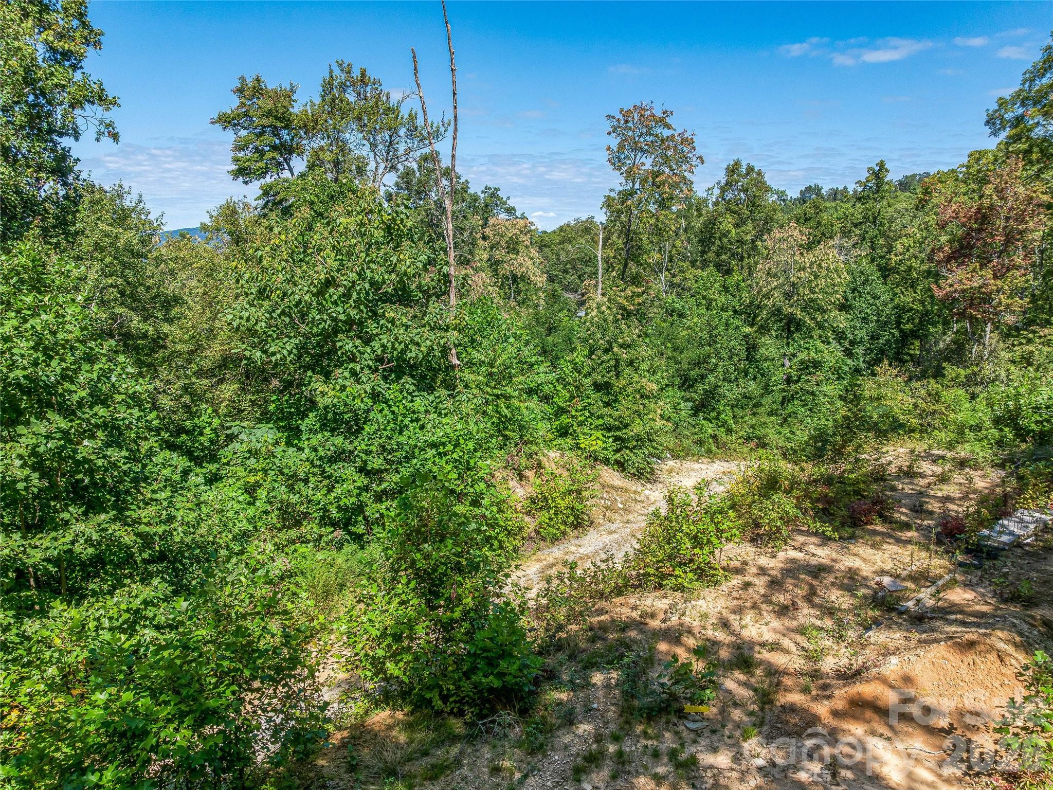 632 Justus Case Mountain Place Property Photo 22