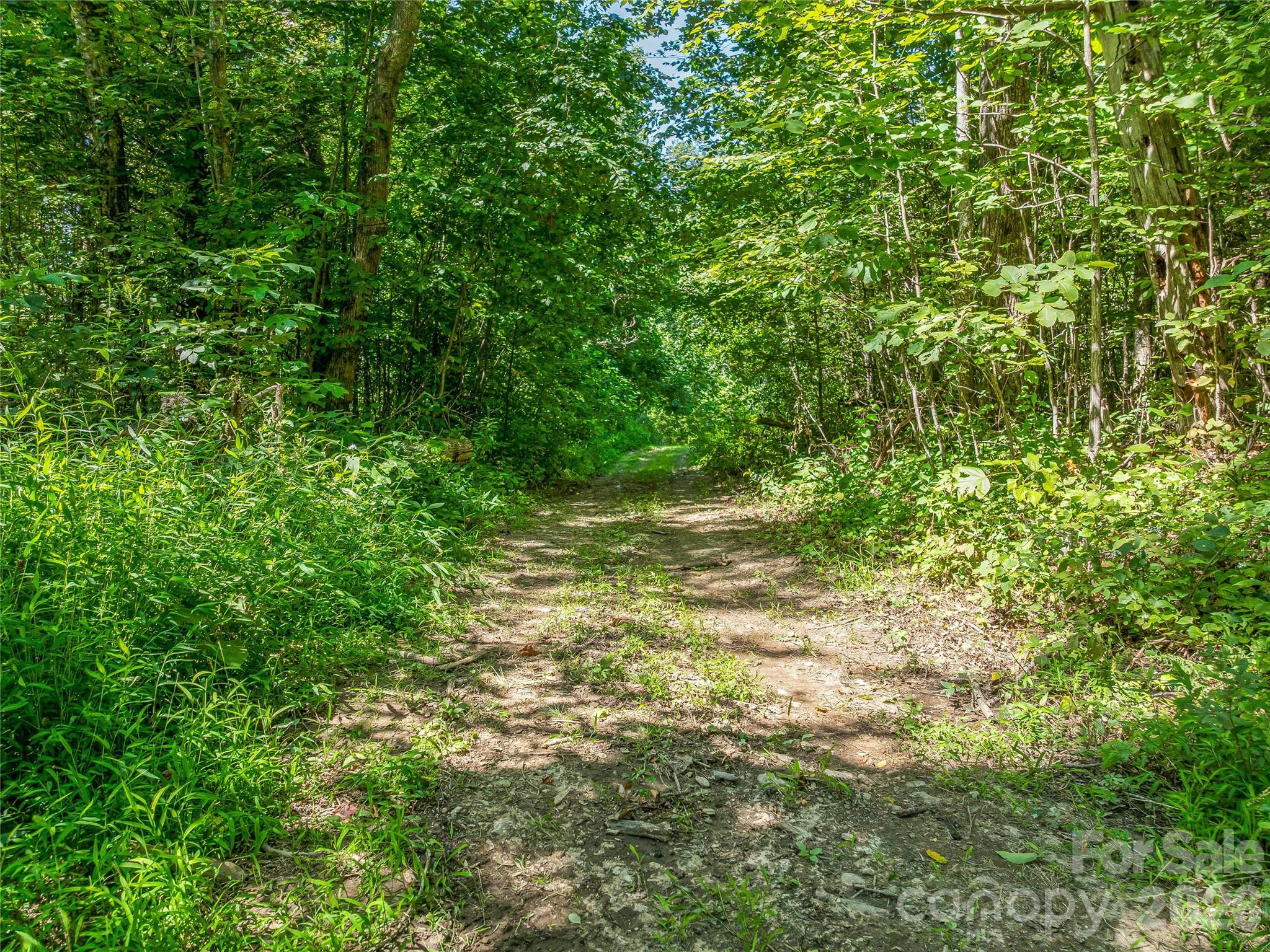 632 Justus Case Mountain Place Property Photo 24