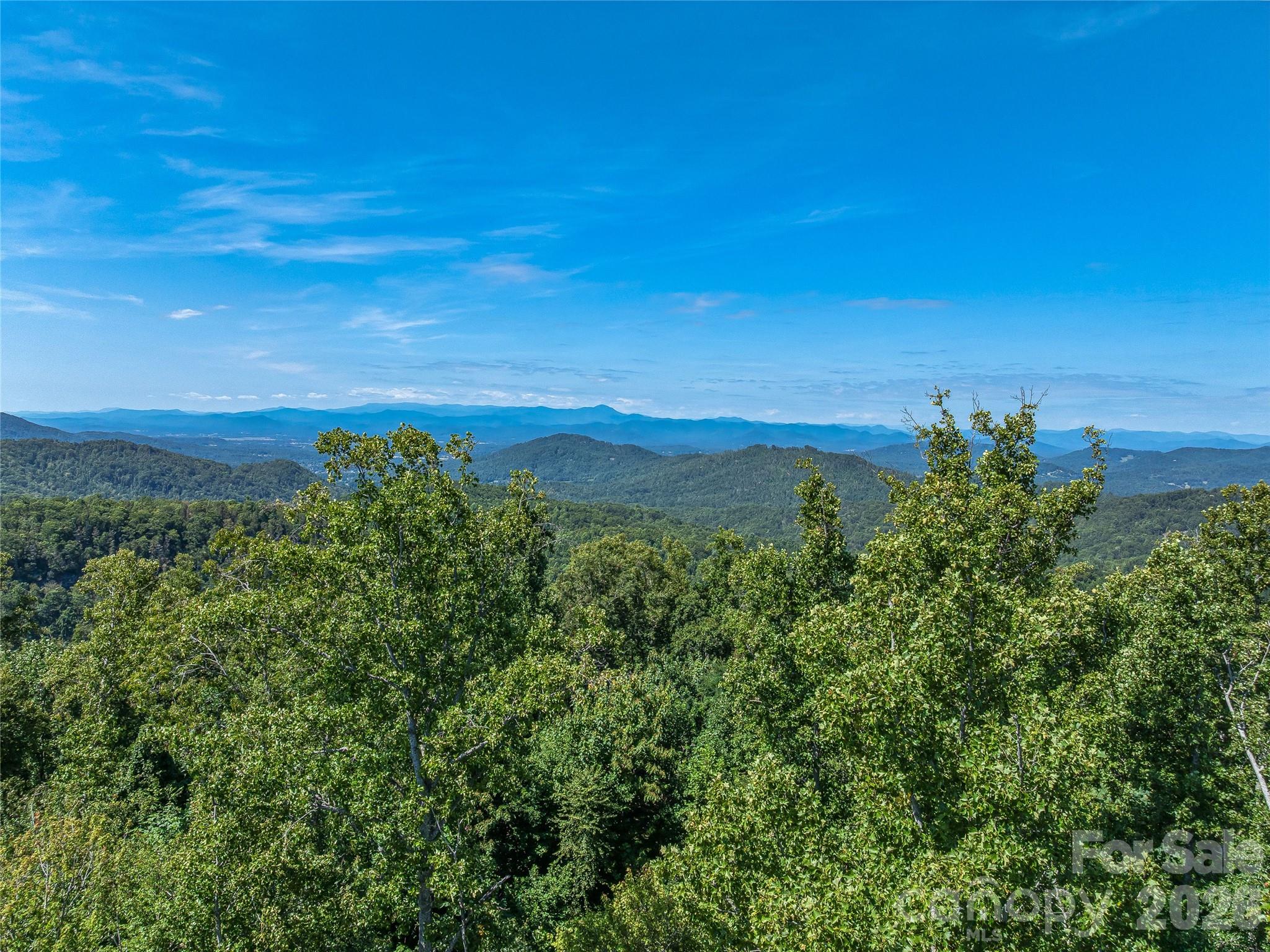 632 Justus Case Mountain Place Property Photo 27