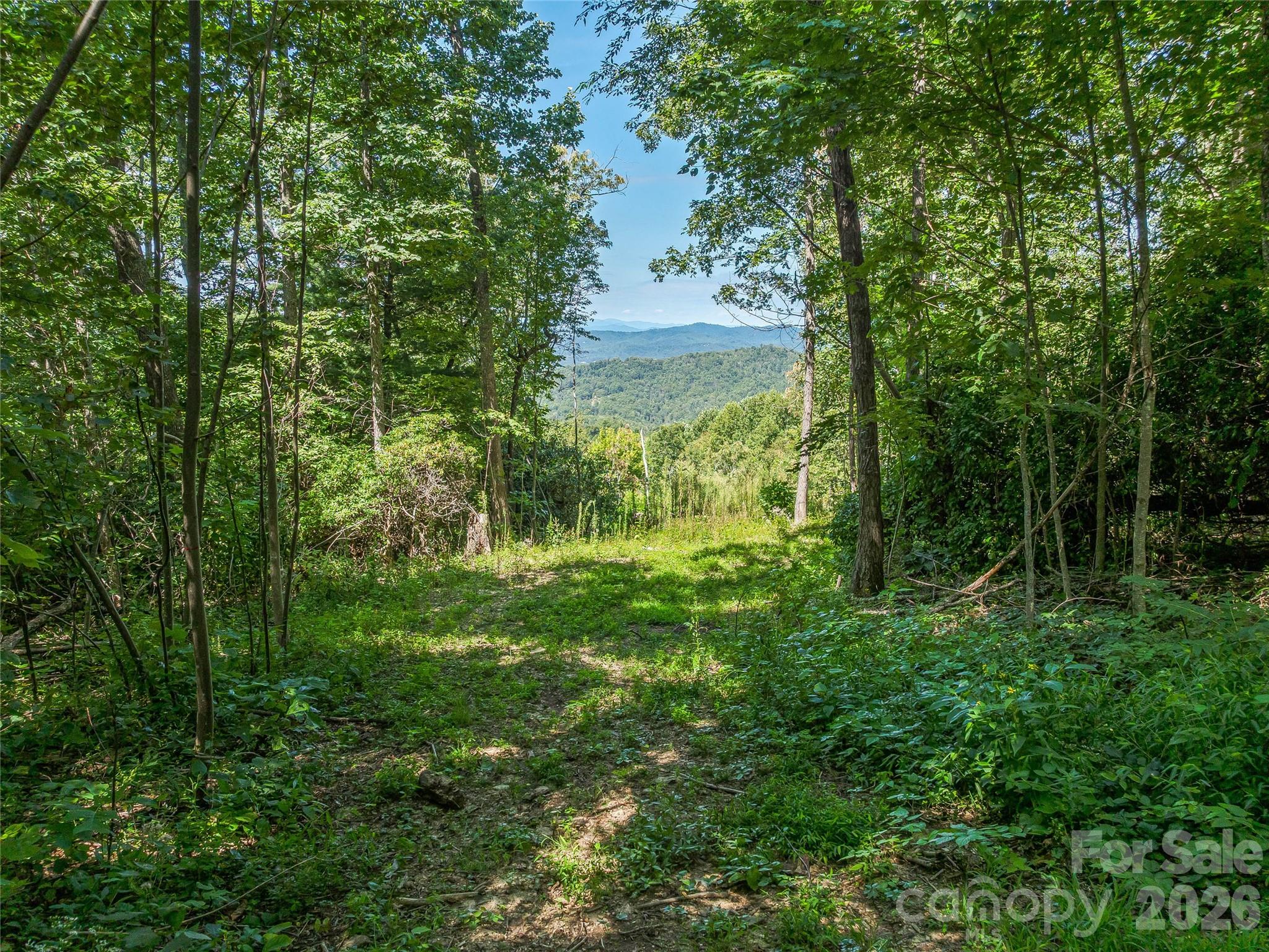 632 Justus Case Mountain Place Property Photo 28