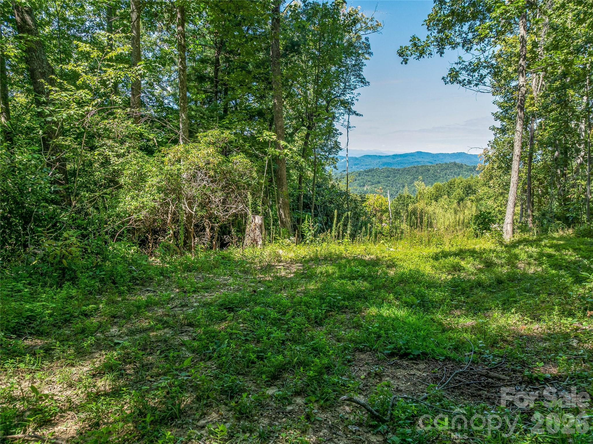 632 Justus Case Mountain Place Property Photo 29