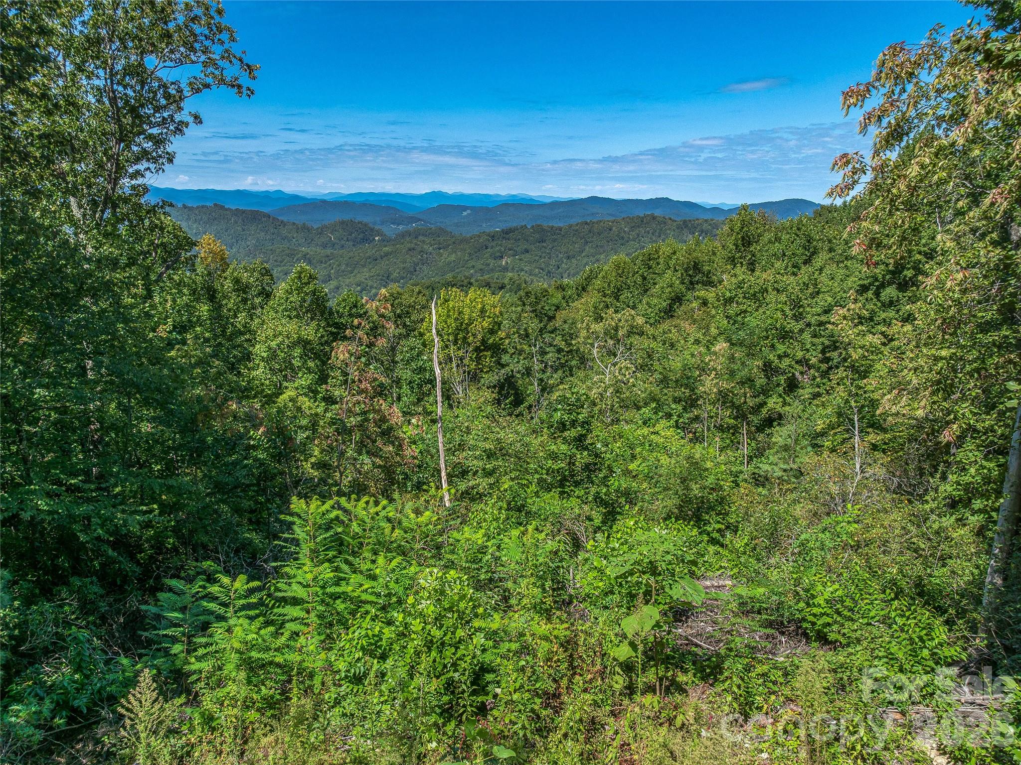 632 Justus Case Mountain Place Property Photo 30