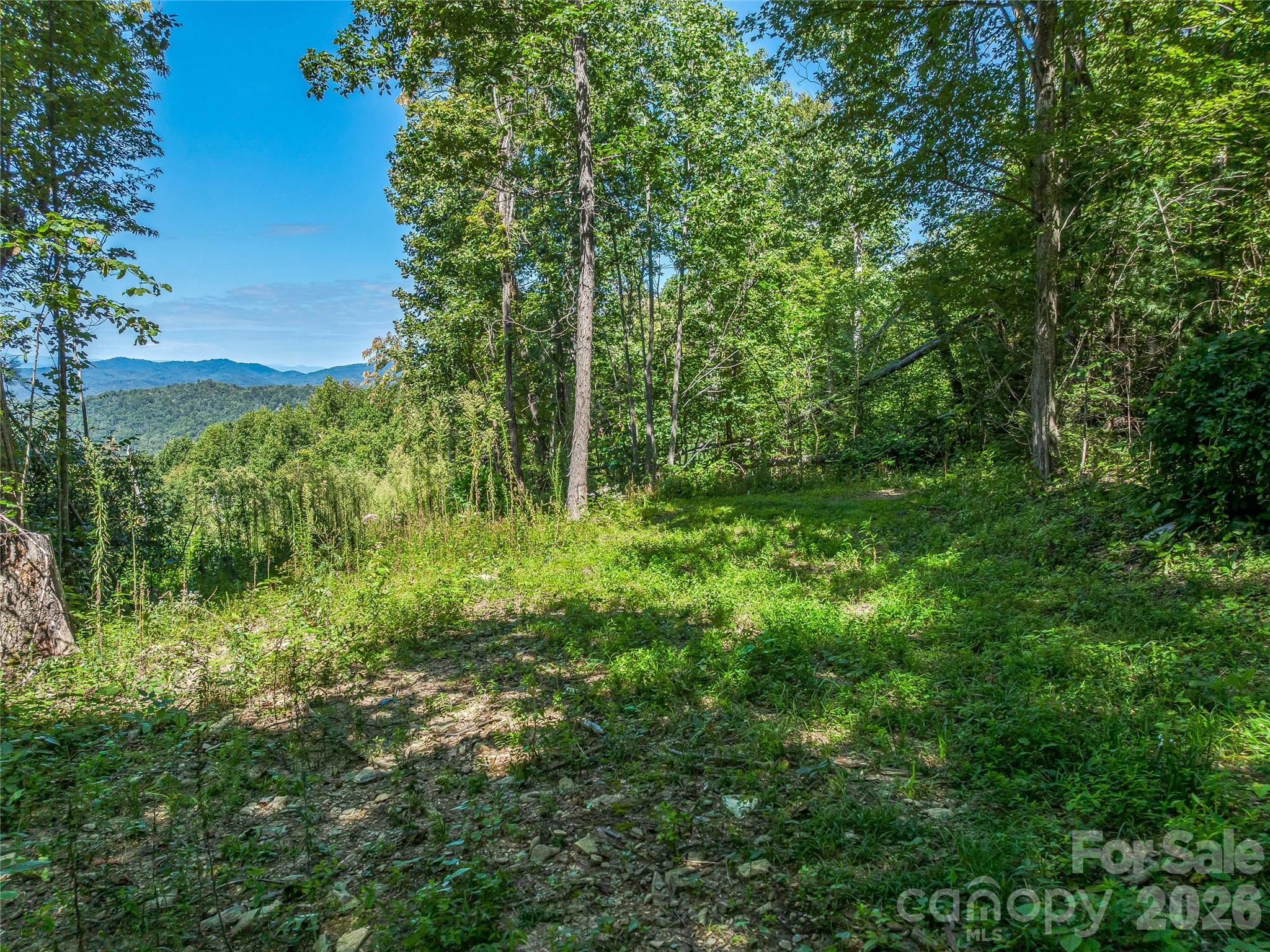 632 Justus Case Mountain Place Property Photo 31