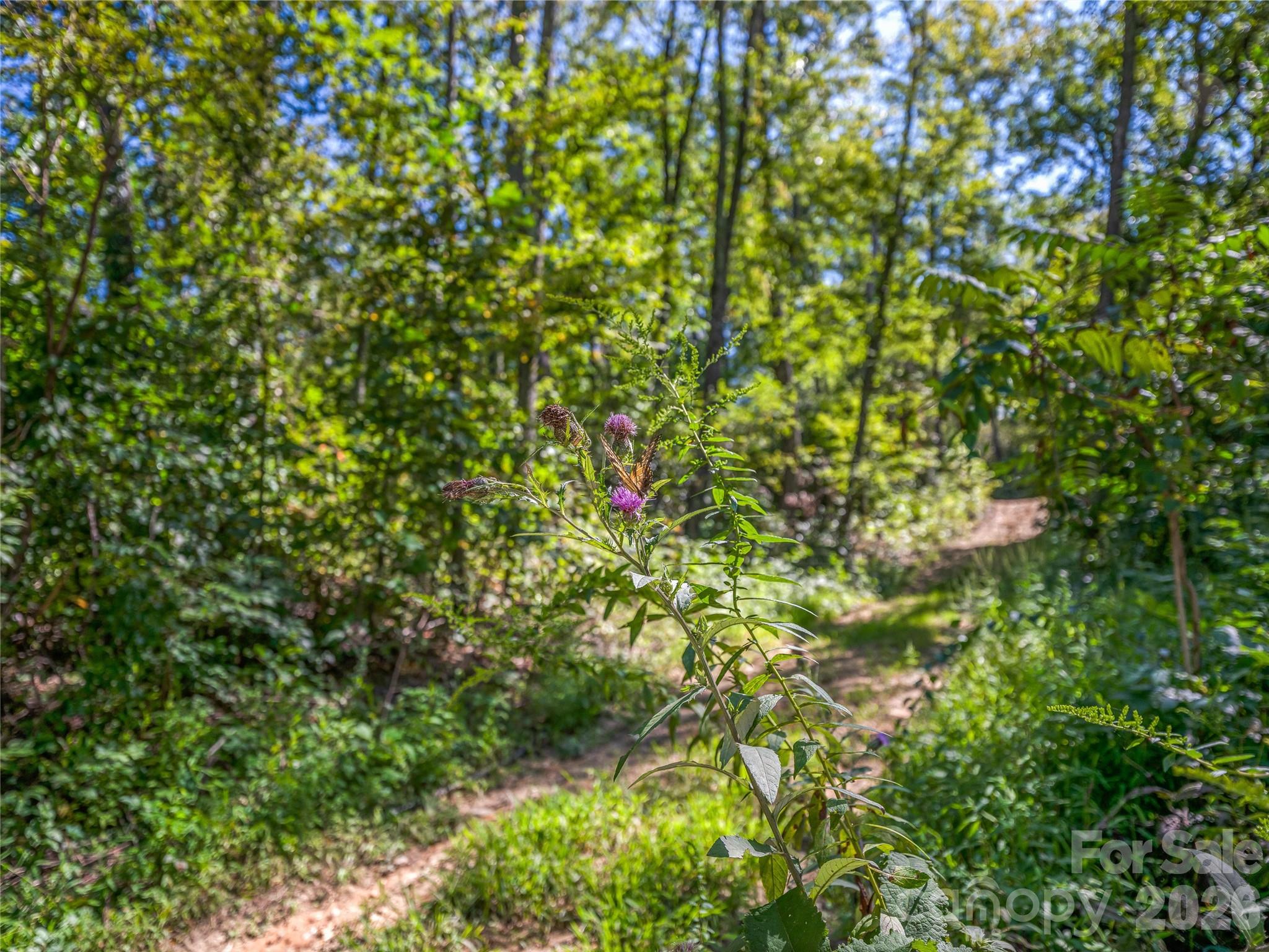 632 Justus Case Mountain Place Property Photo 34