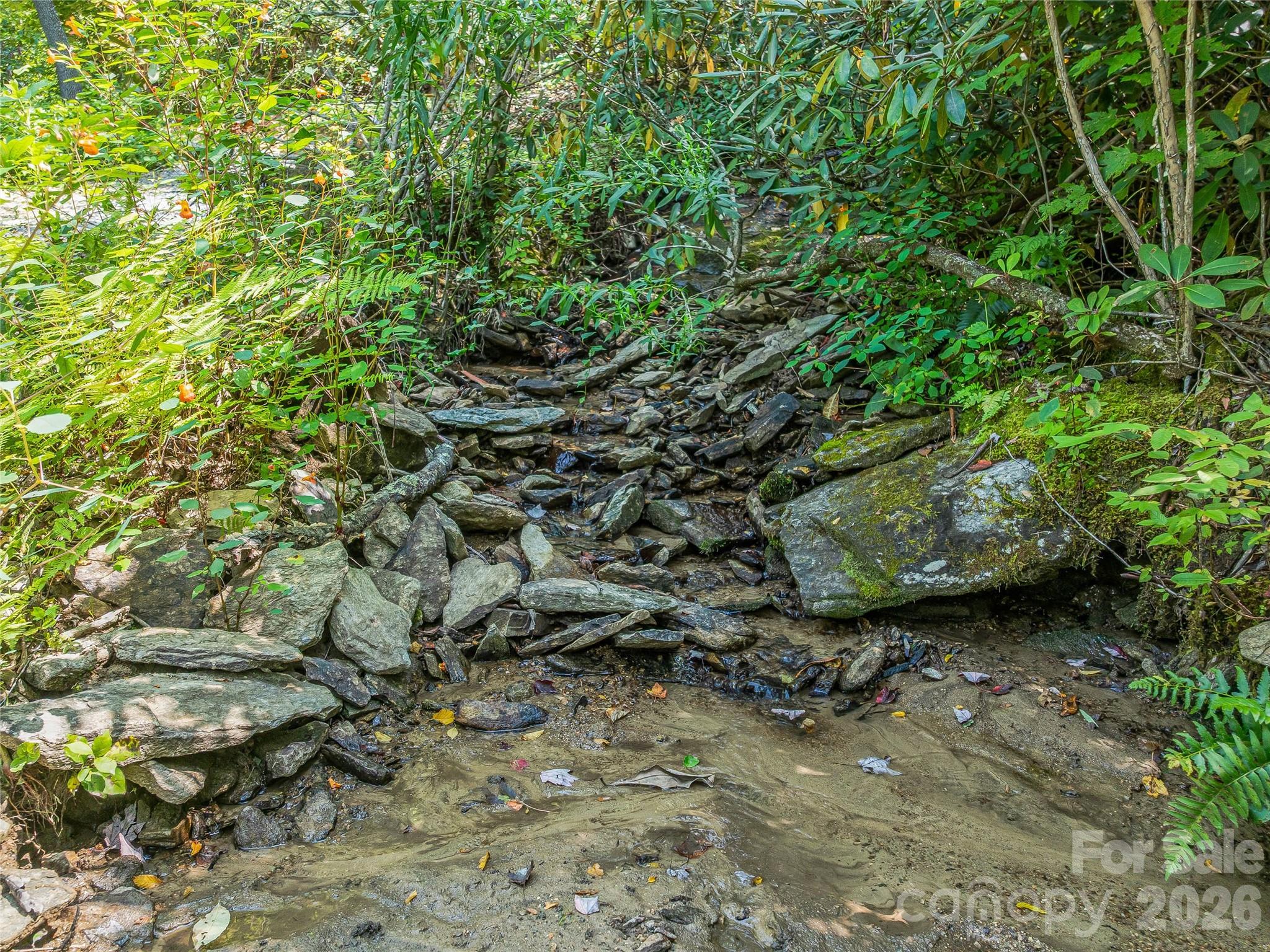 632 Justus Case Mountain Place Property Photo 36