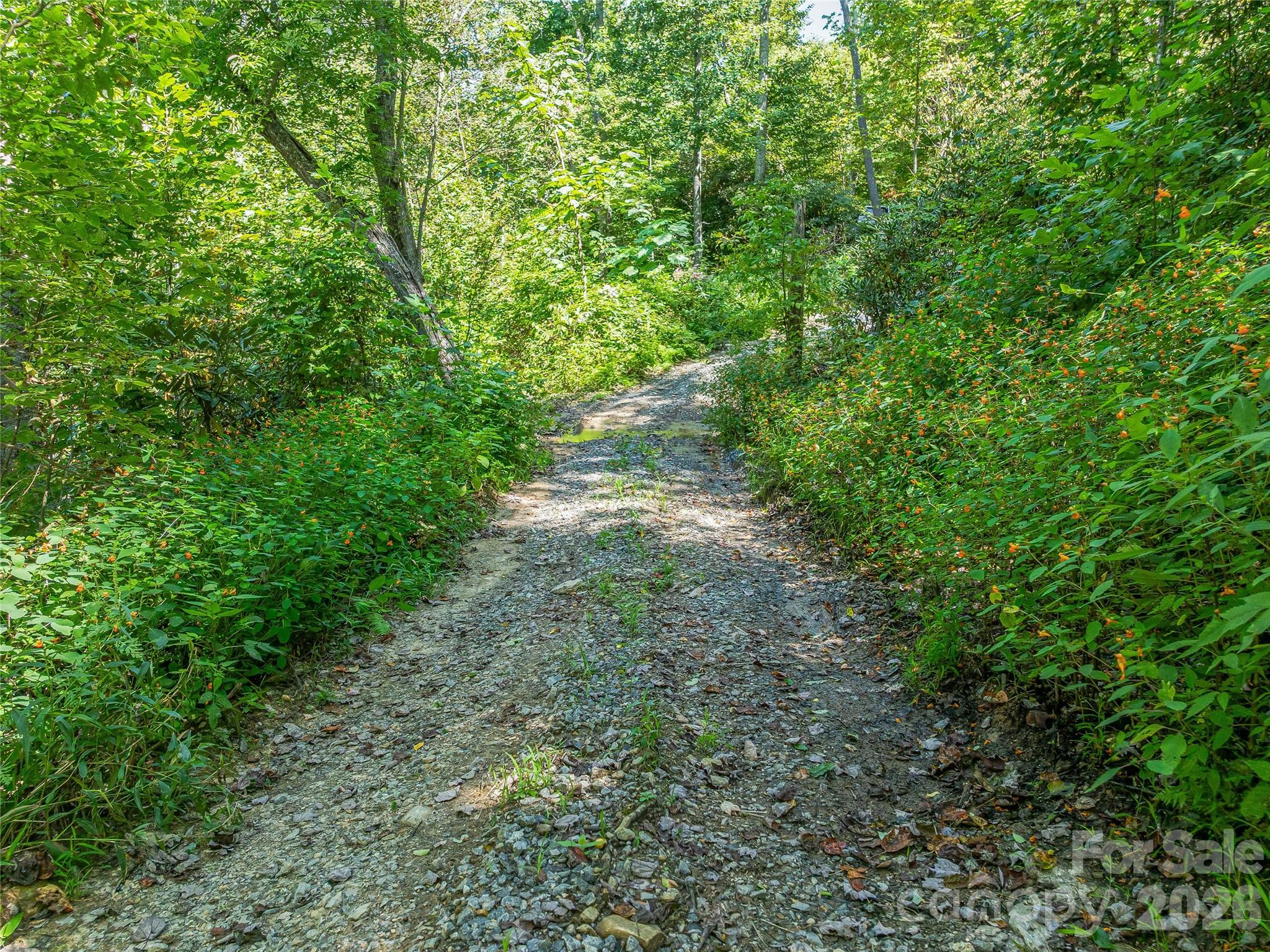 632 Justus Case Mountain Place Property Photo 37
