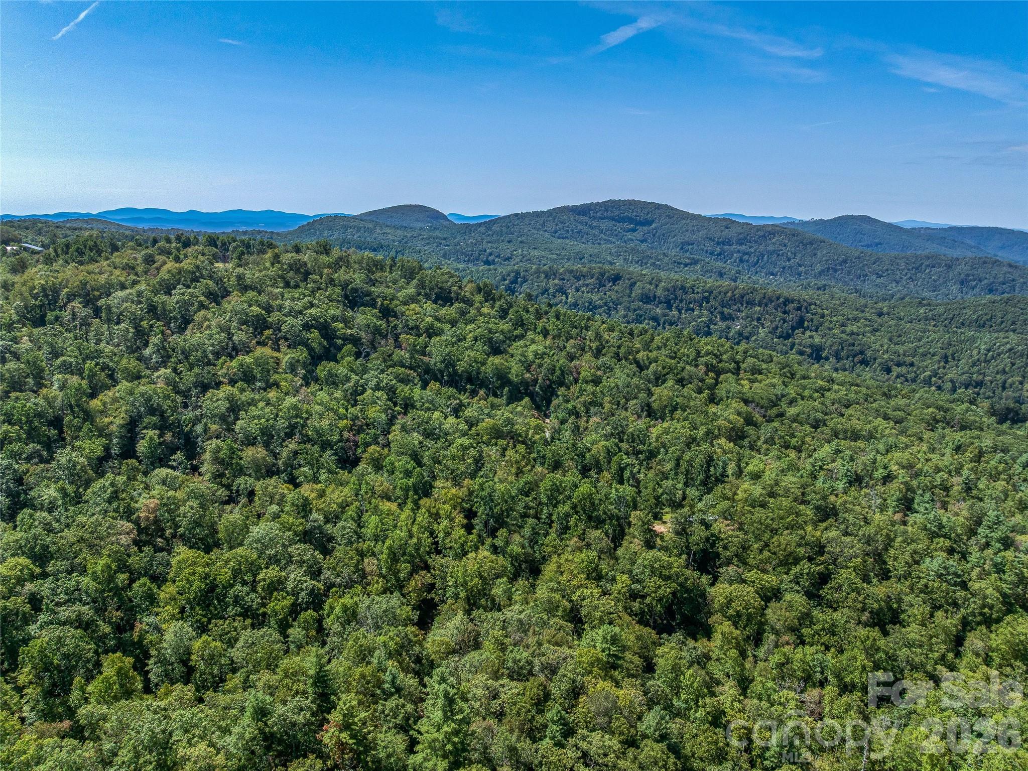 632 Justus Case Mountain Place Property Photo 38