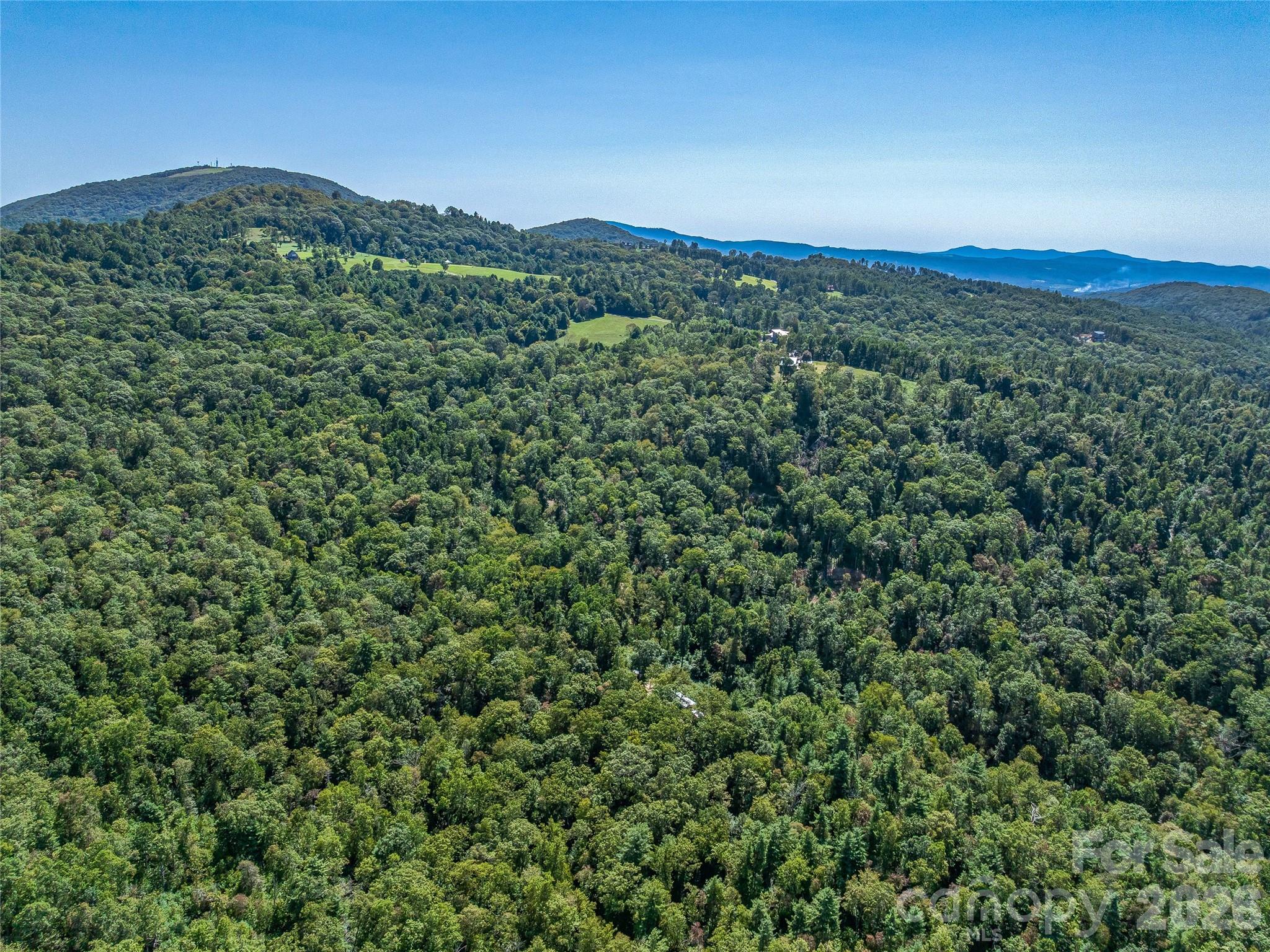 632 Justus Case Mountain Place Property Photo 39