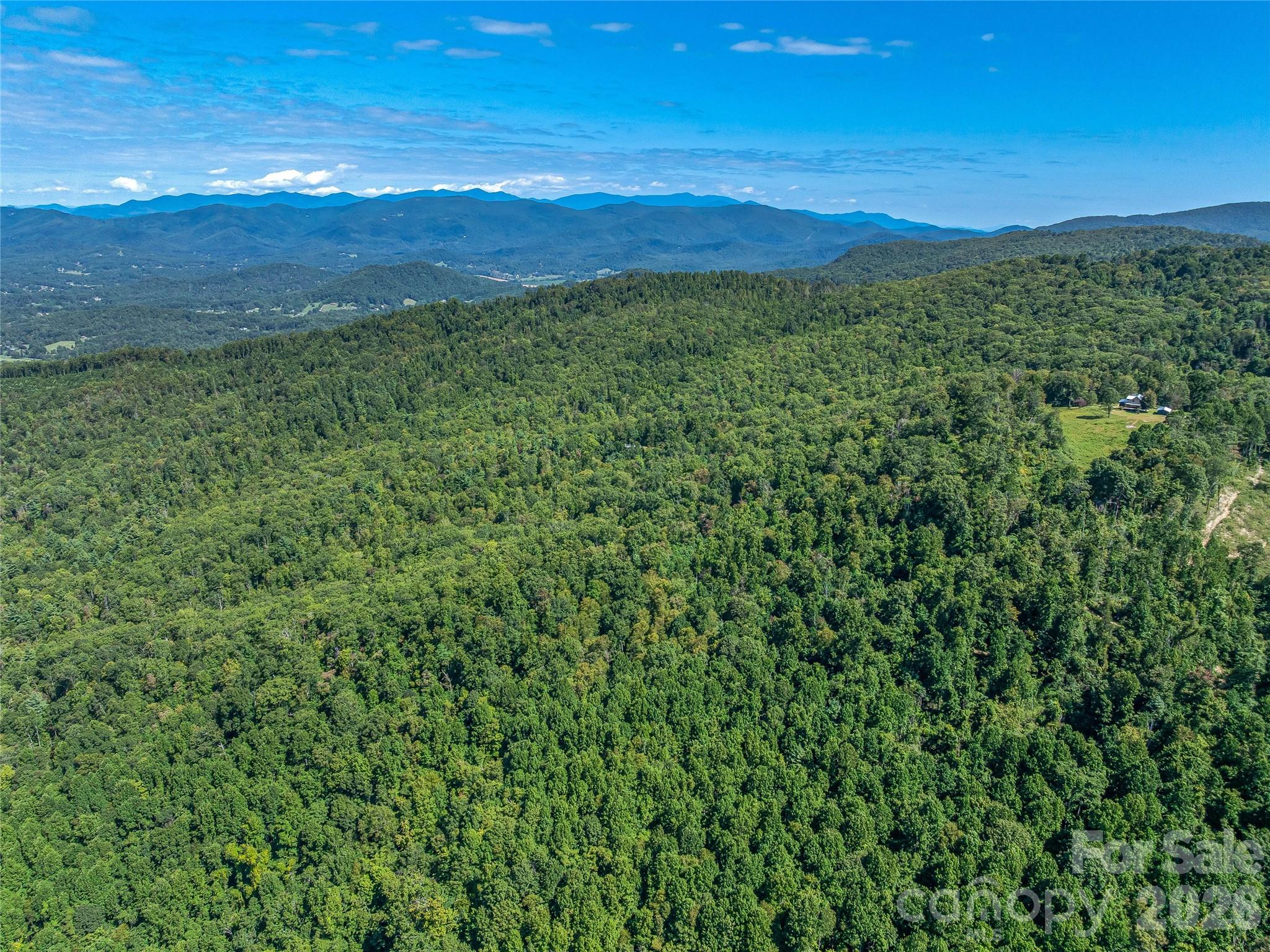 632 Justus Case Mountain Place Property Photo 42