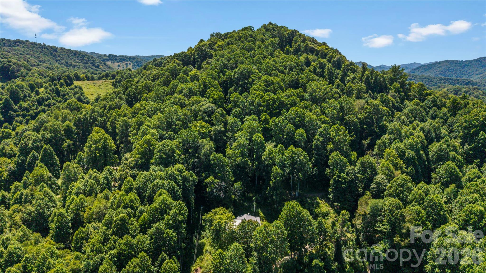 2879 Chandler Creek Road Property Photo 33