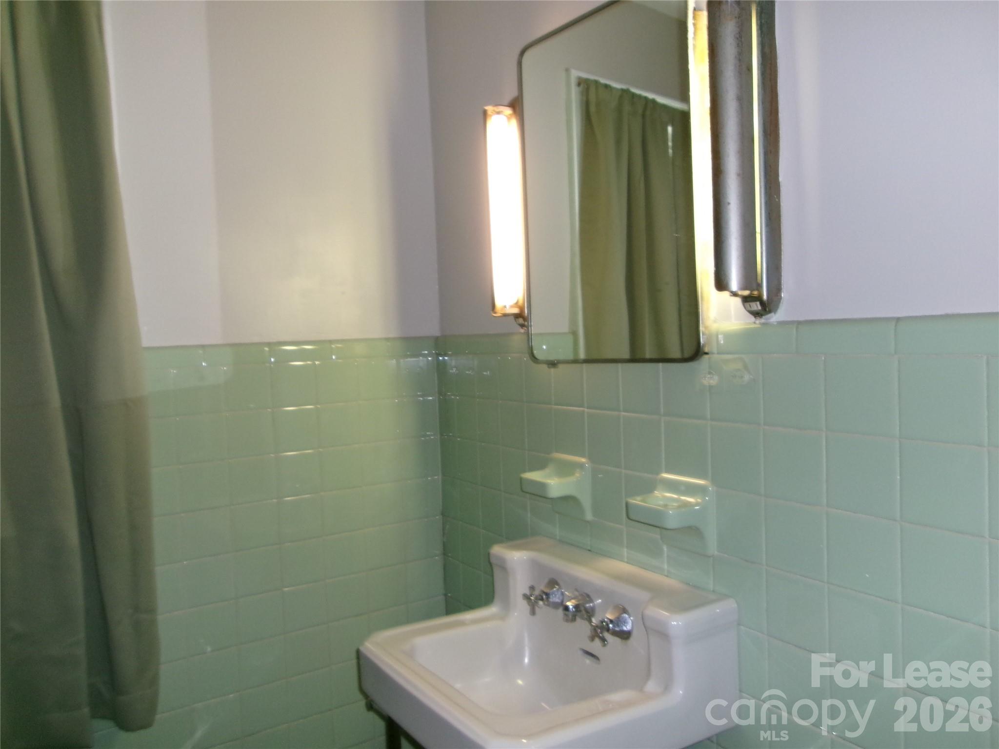 515 Mountain View Street Property Photo 15