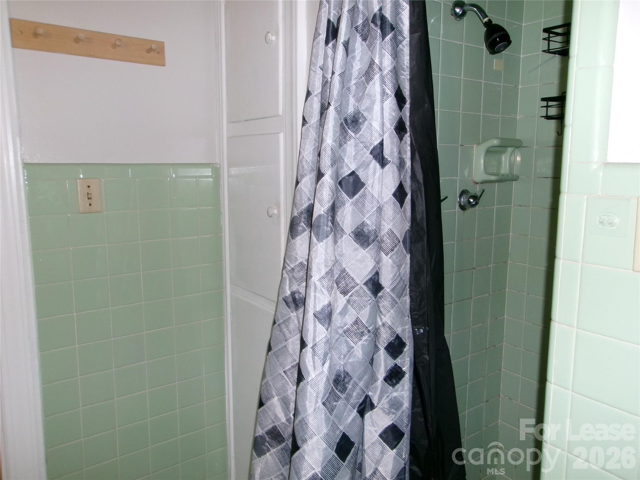 515 Mountain View Street Property Photo 16