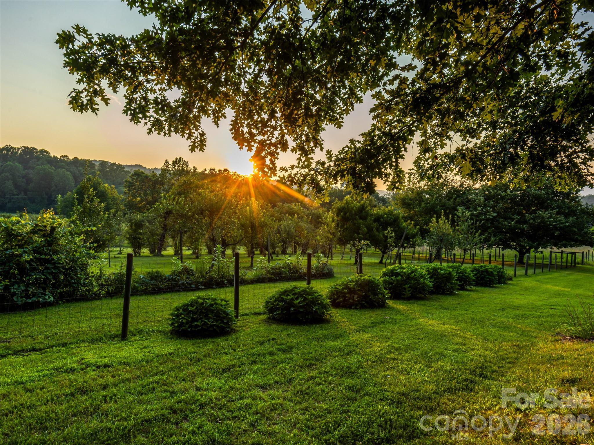 280 Walnut Hollow Road Property Photo 44