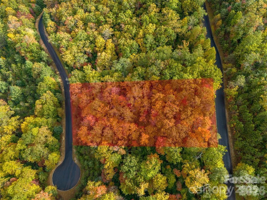 99999 Mills River Way Lot 107 Property Photo 2