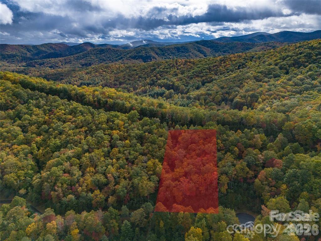 99999 Mills River Way Lot 107 Property Photo 4