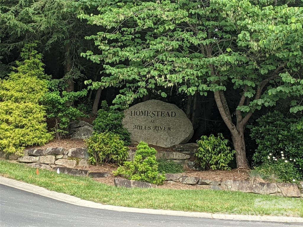 99999 Mills River Way Lot 107 Property Photo 6