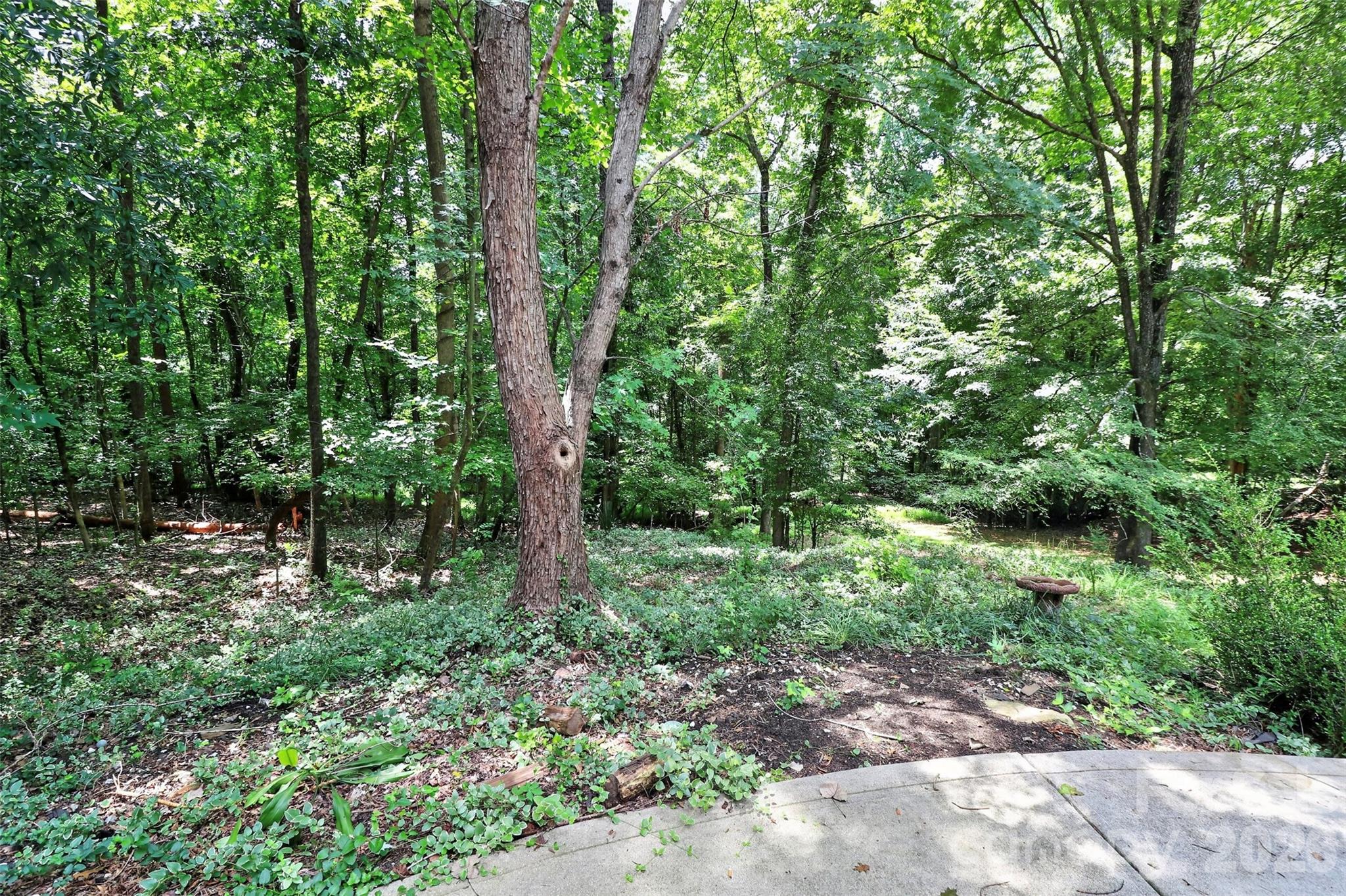 7912 Ritter Drive Property Photo 36