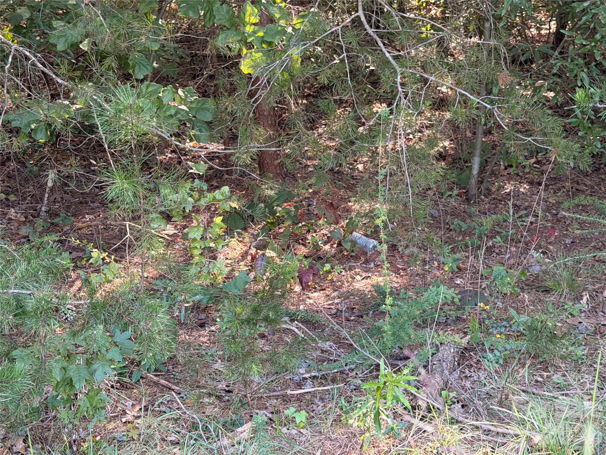 0 Shuping Mill Road Property Photo 14