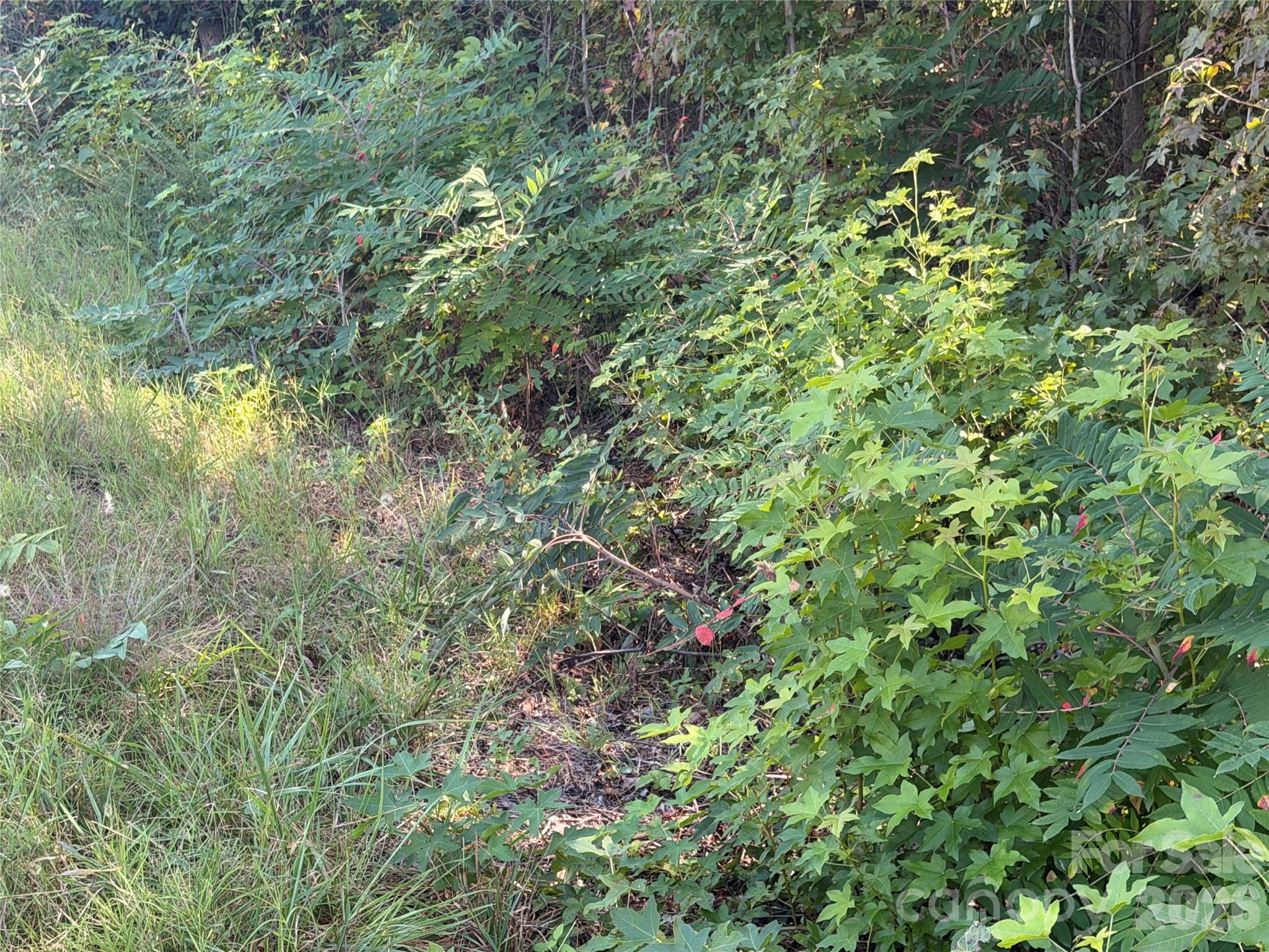 0 Shuping Mill Road Property Photo 20