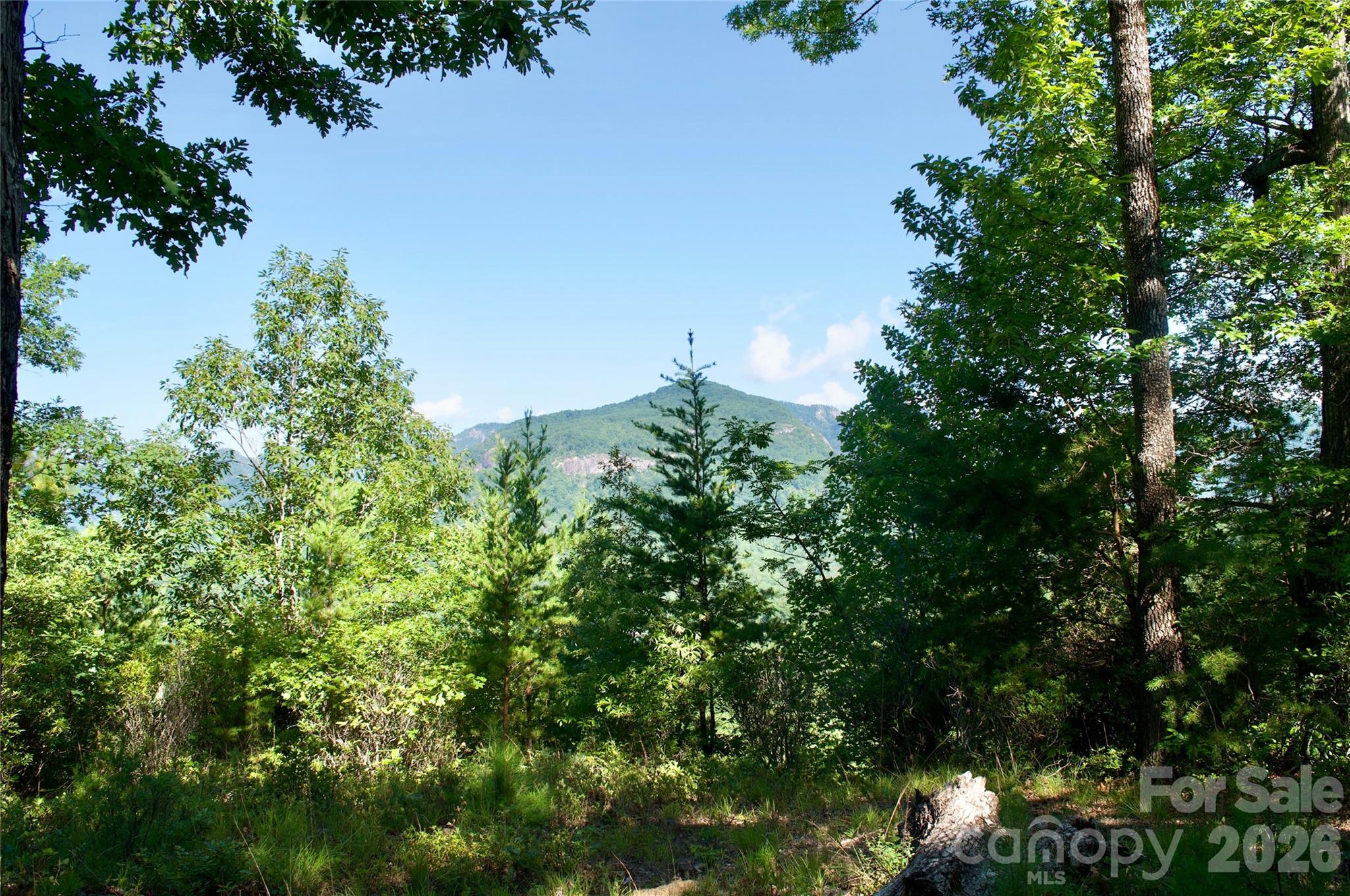 Lot 30 High Rock Ridge 30 Property Photo 24