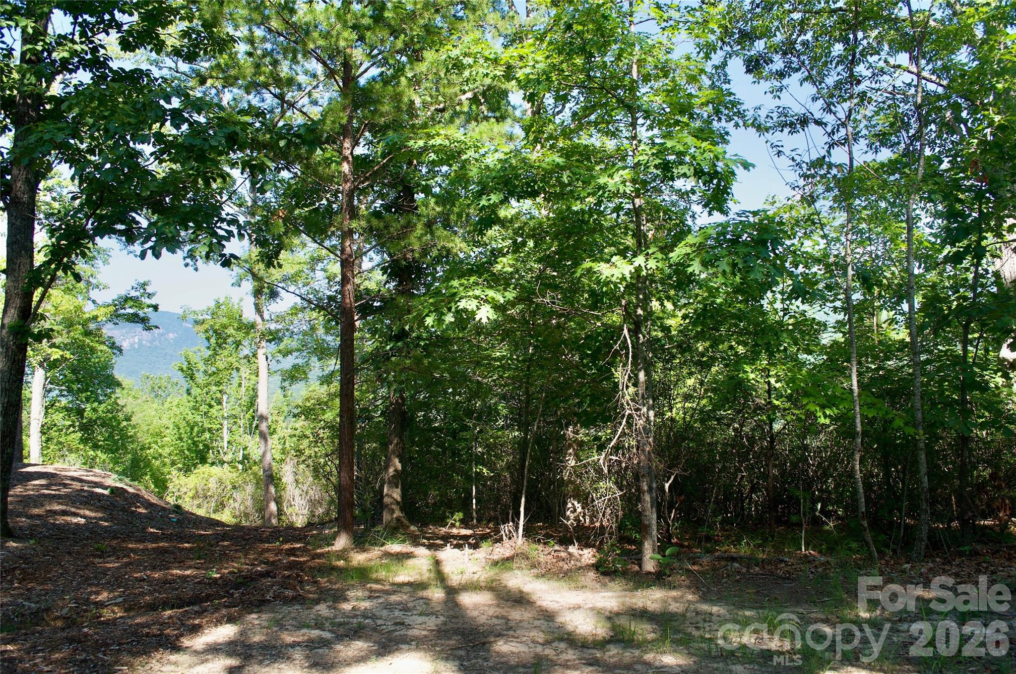 Lot 30 High Rock Ridge 30 Property Photo 25