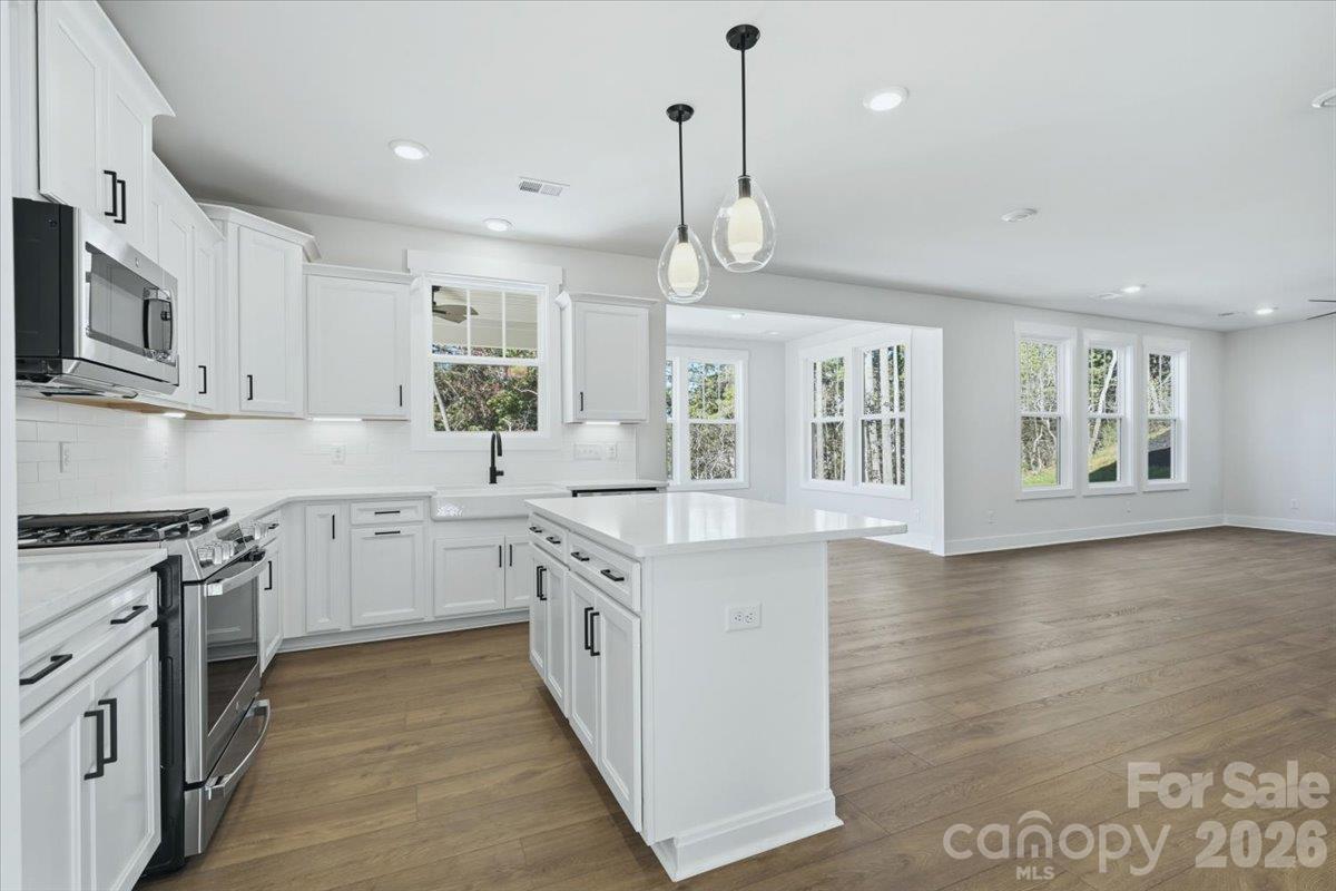 234 Smokey Holler Drive Property Photo 10