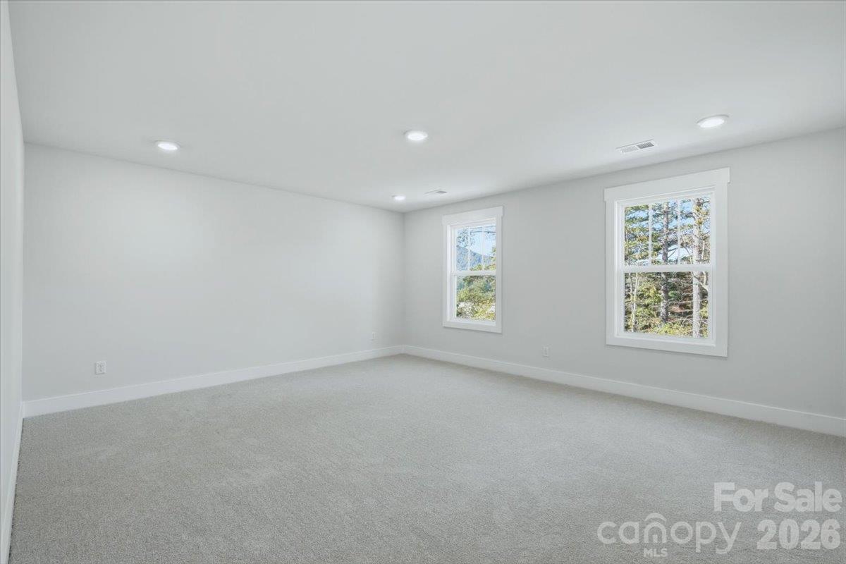 234 Smokey Holler Drive Property Photo 16
