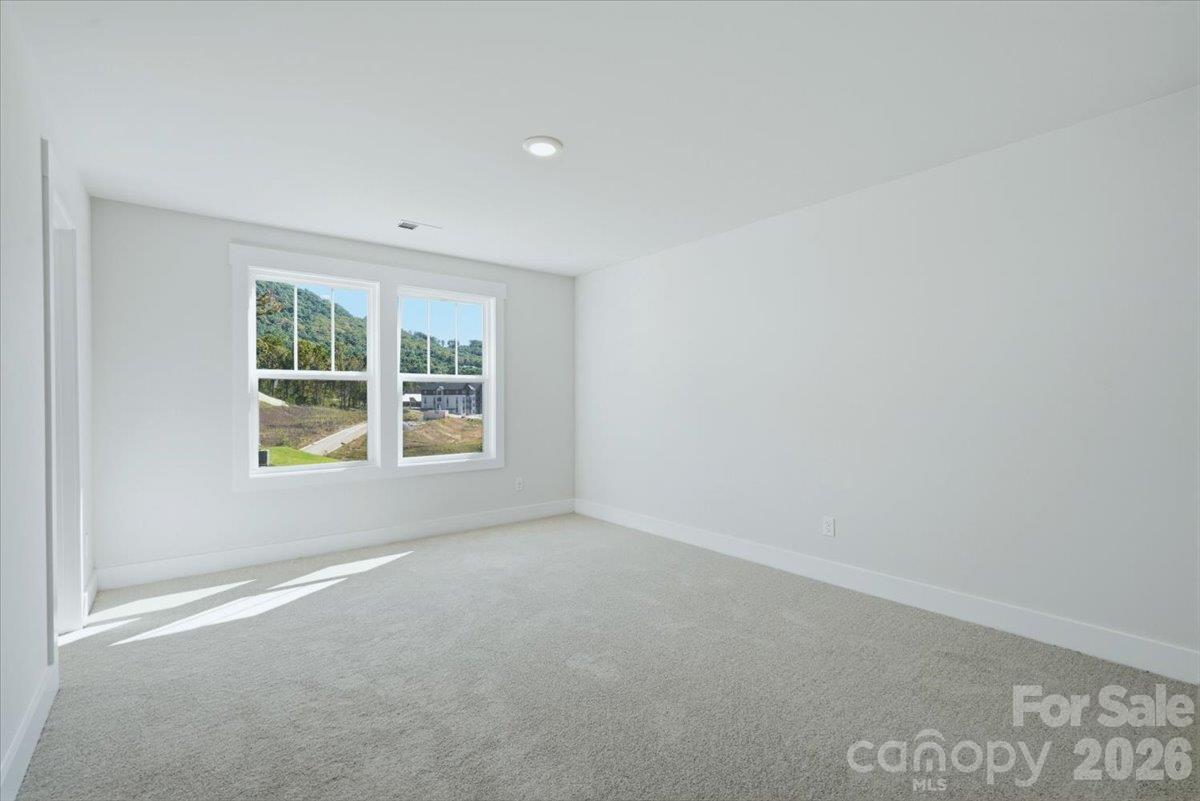 234 Smokey Holler Drive Property Photo 20