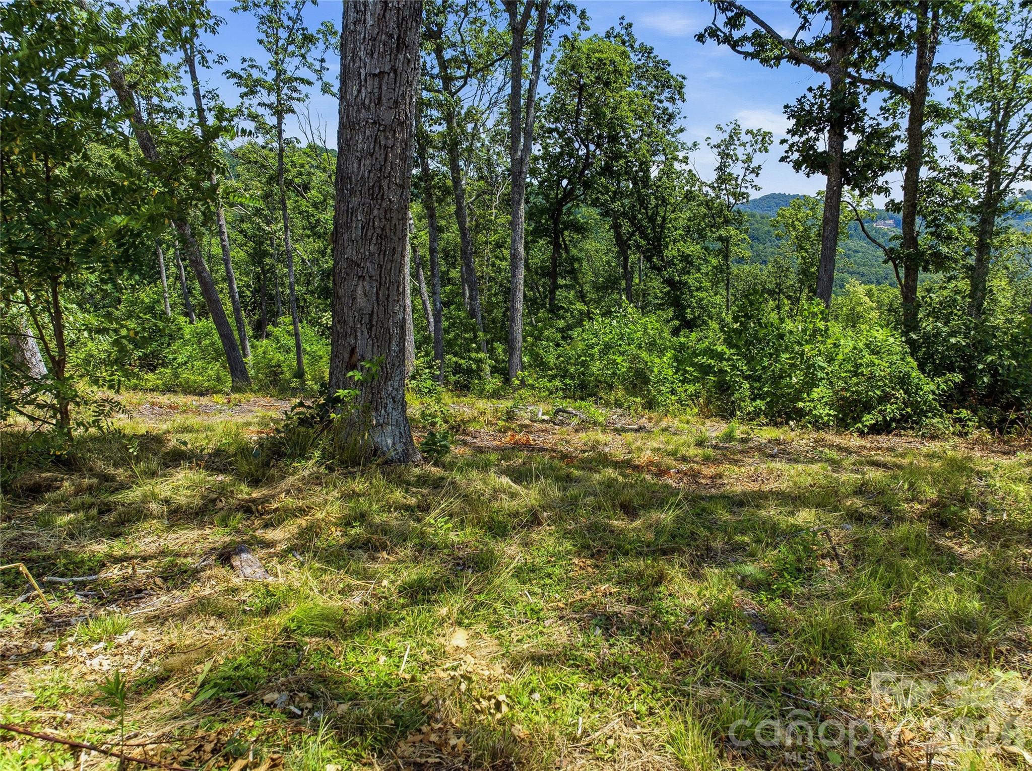 58 Mountain Grove Lane Property Photo 25
