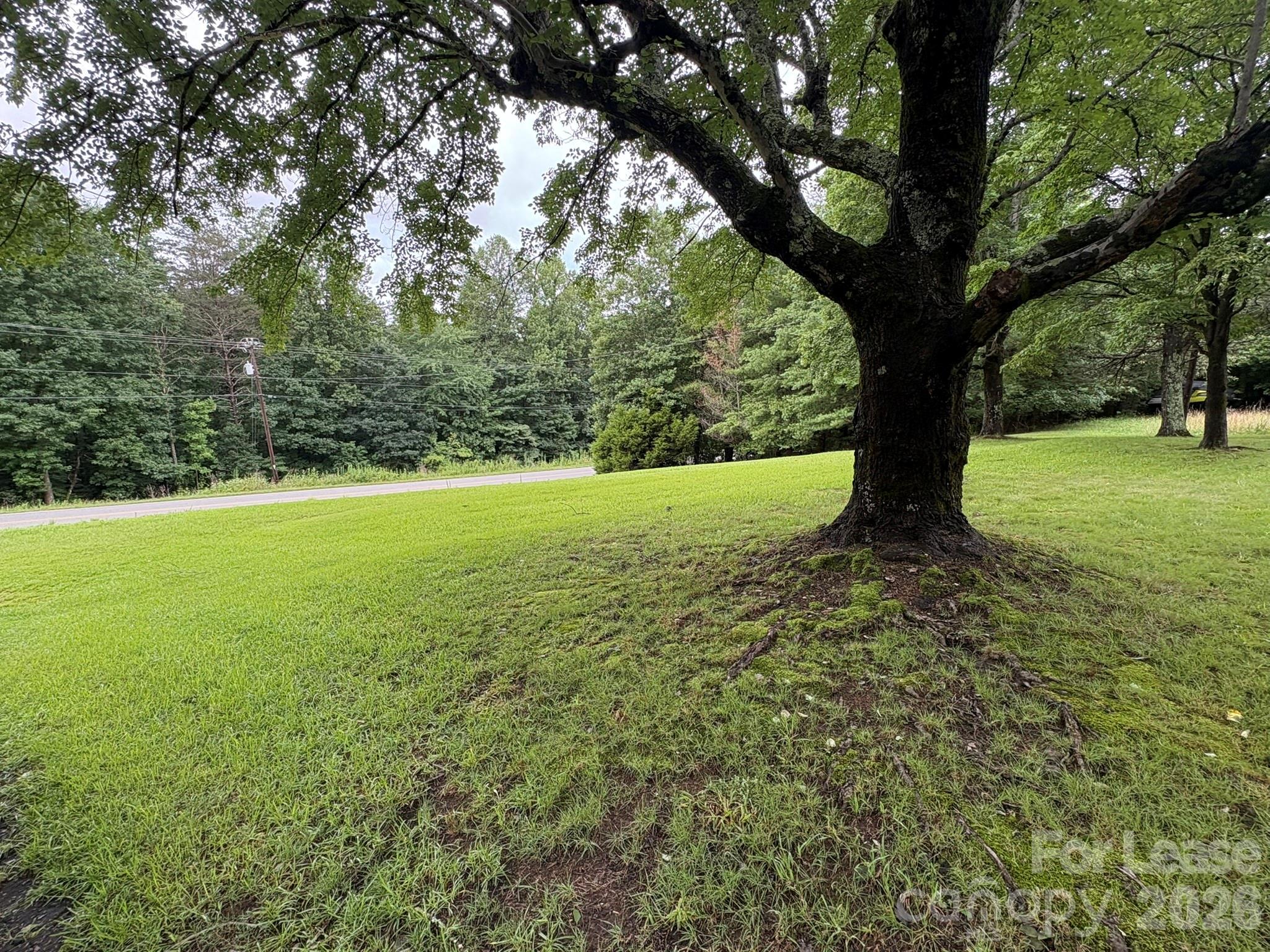 4232 Powerhouse Road Property Photo 11