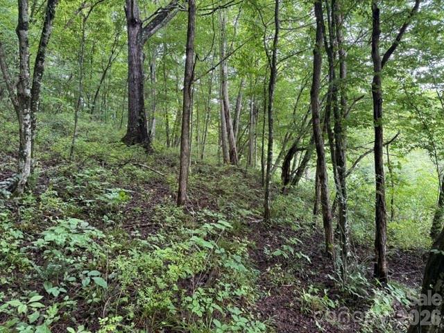 Tbd Meadow Fork Road Property Photo 1