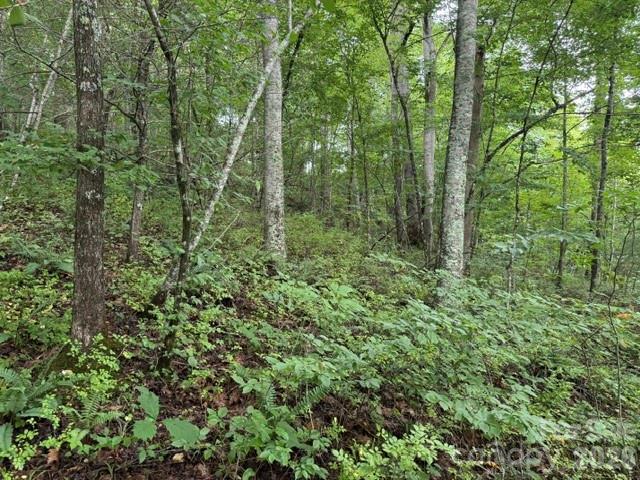 Tbd Meadow Fork Road Property Photo 2
