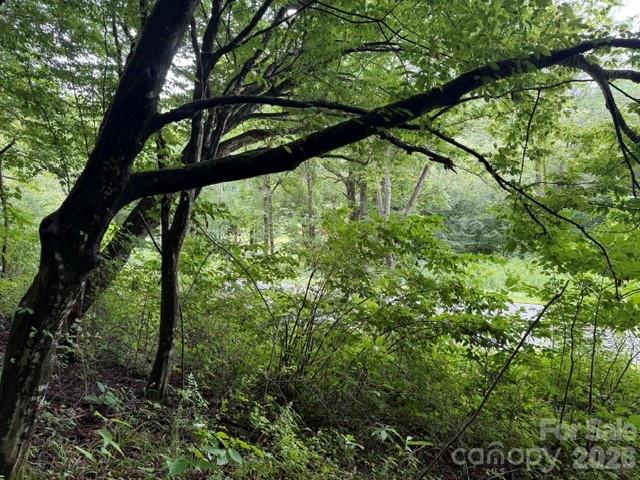 Tbd Meadow Fork Road Property Photo 3