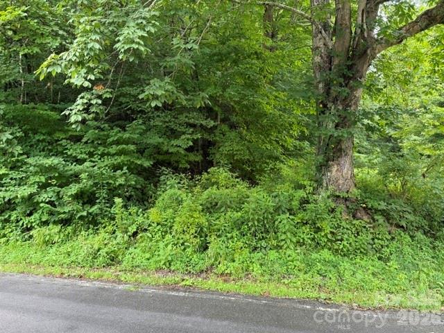 Tbd Meadow Fork Road Property Photo 4