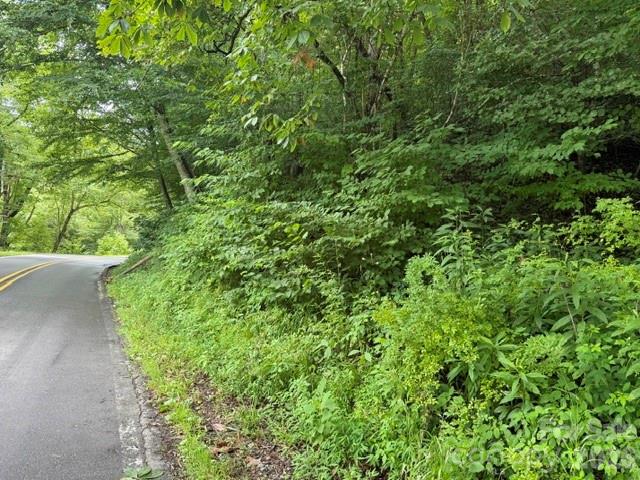 Tbd Meadow Fork Road Property Photo 5